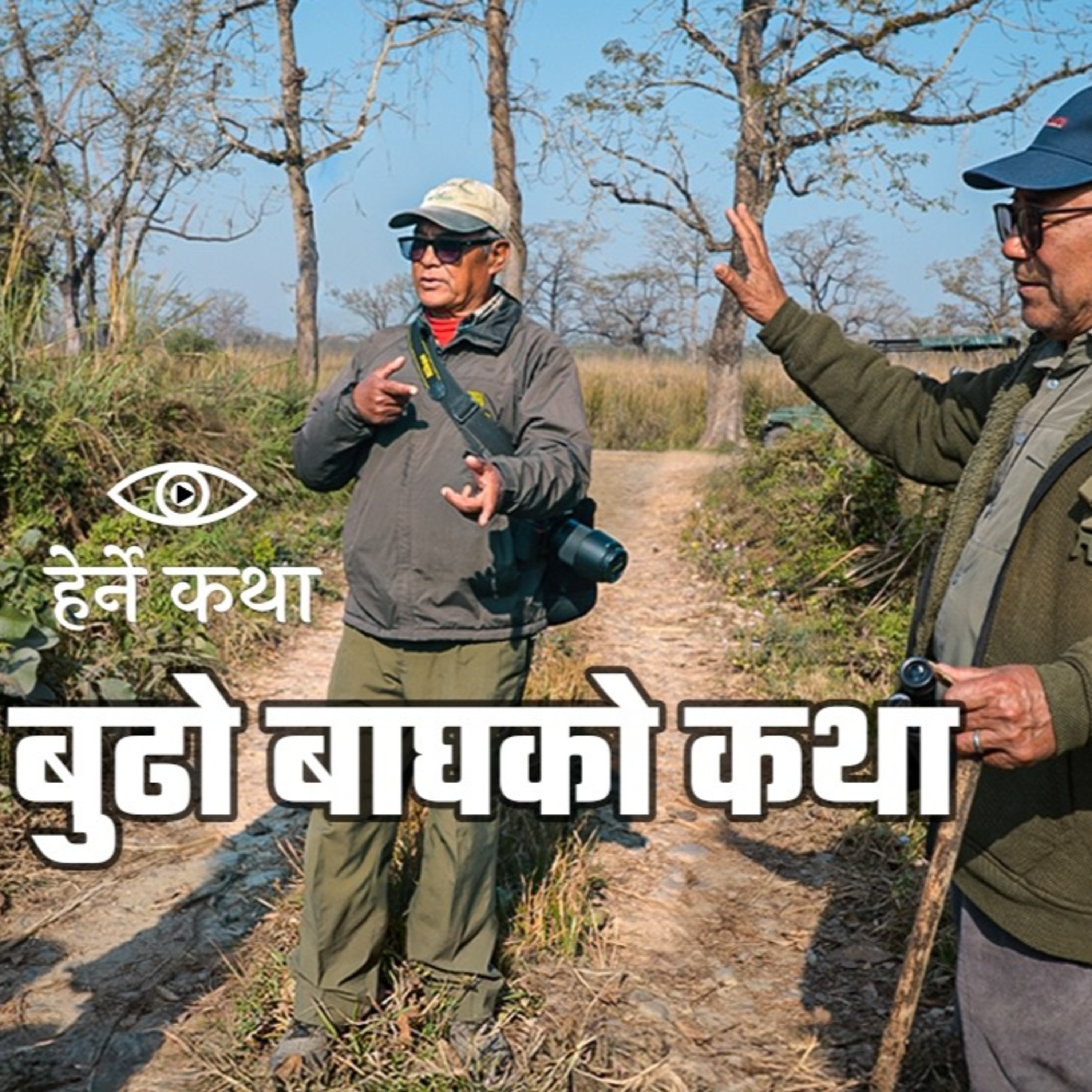 Story of the Old Tiger