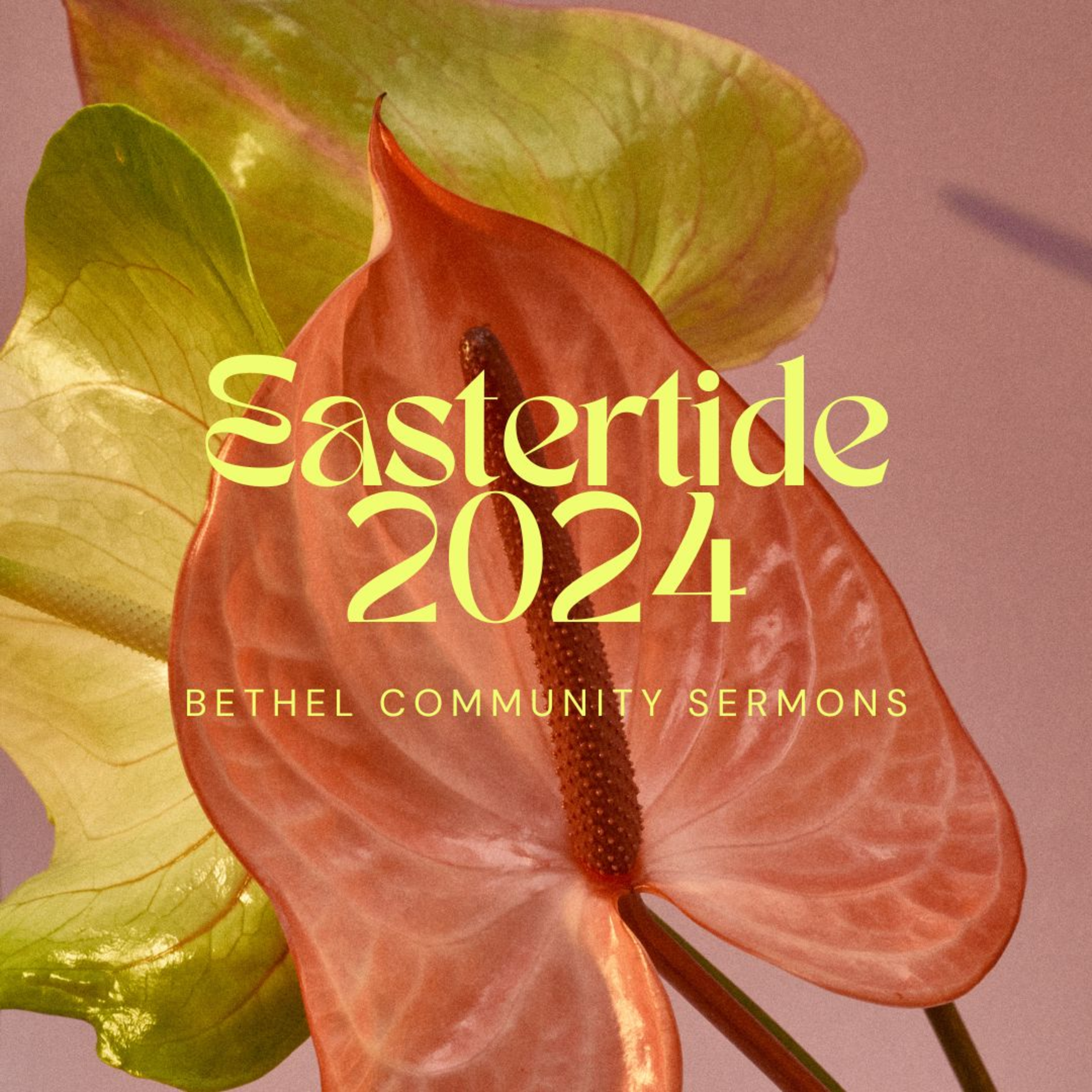 Bethel Community Sermons