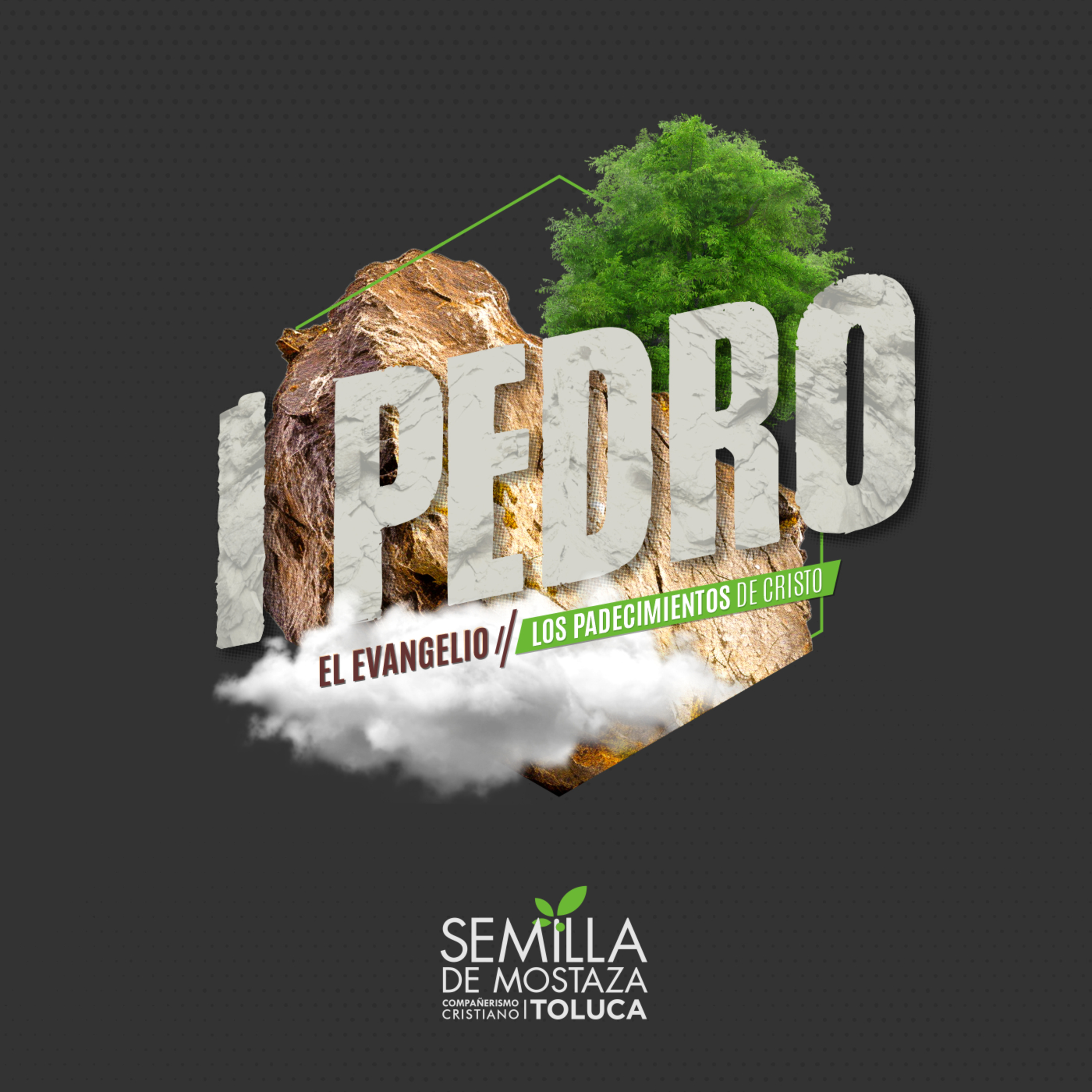 Sujeción en la conducta - 1 Pedro 3:1-2 episode artwork