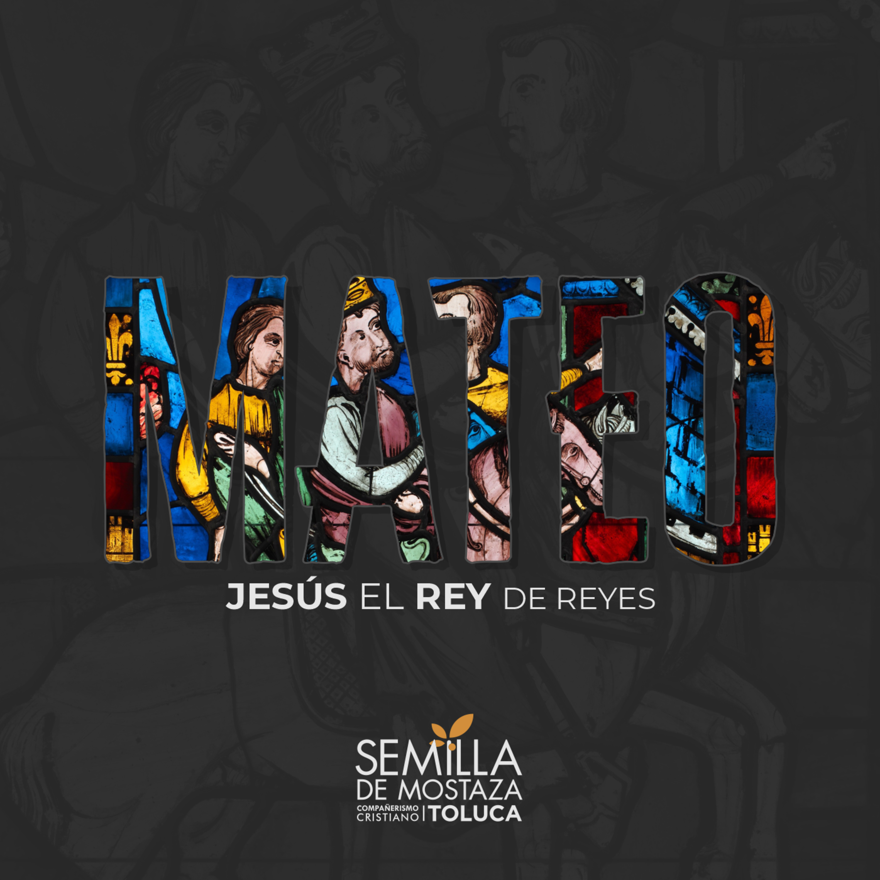 La fe del discípulo - Mateo 14:22-36 episode artwork