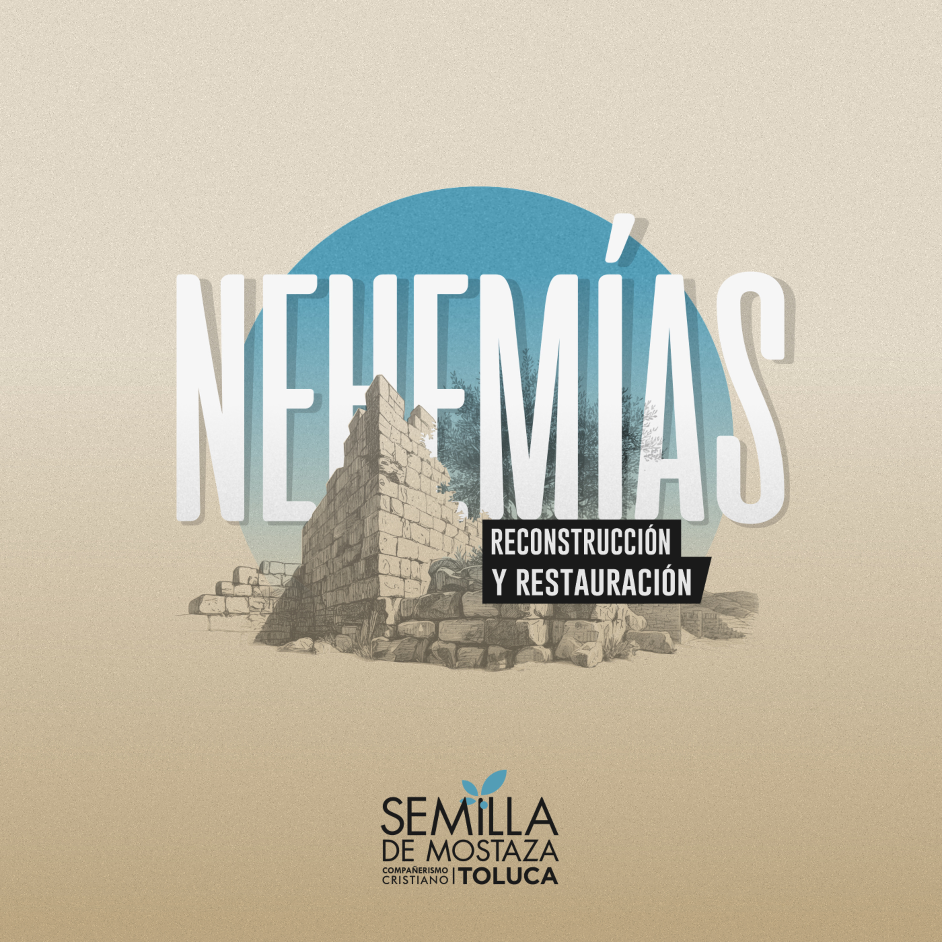 Portada de Semilla Toluca