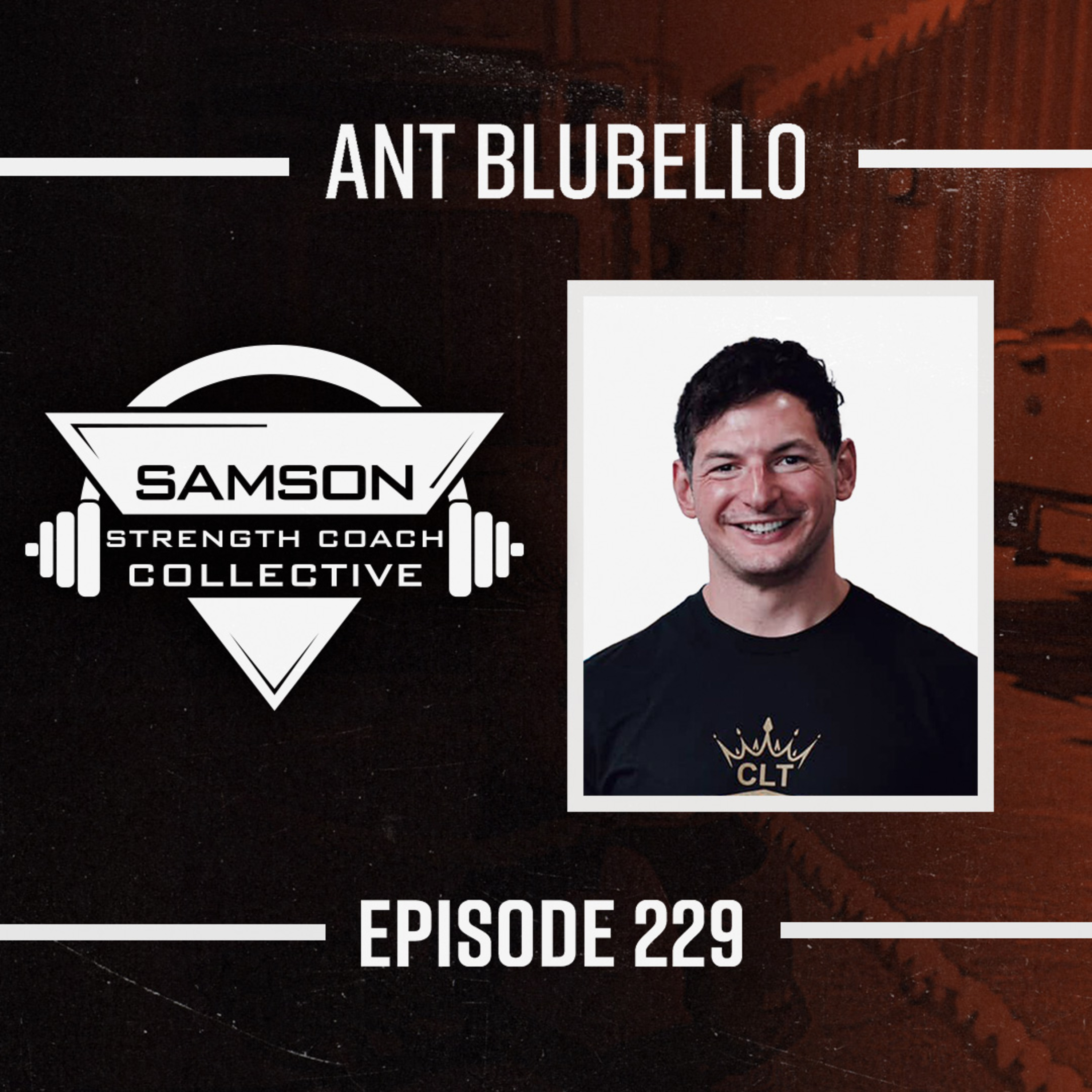 Balancing Therapy and Coaching with Ant Blubello episode artwork