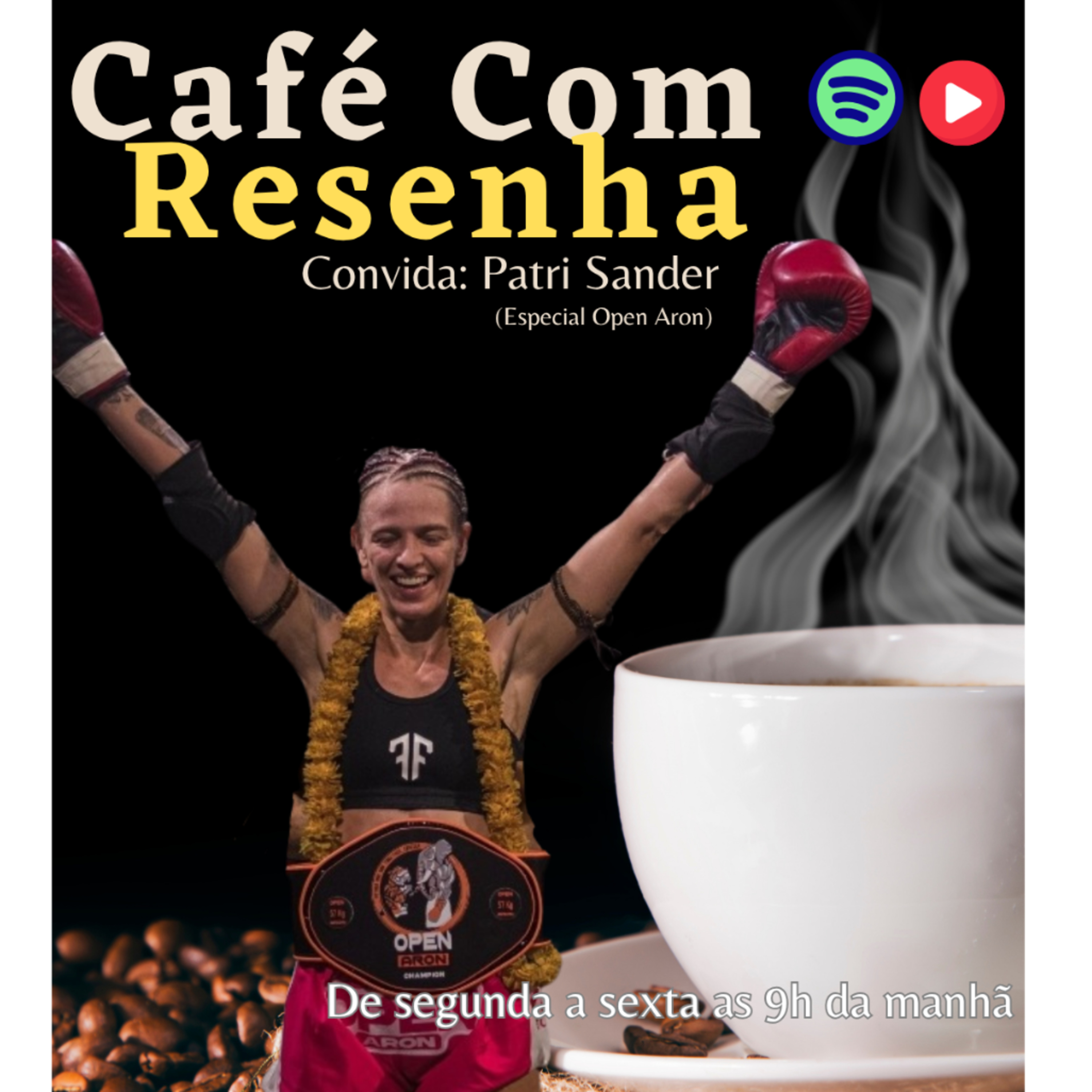 Resenha MuayThai