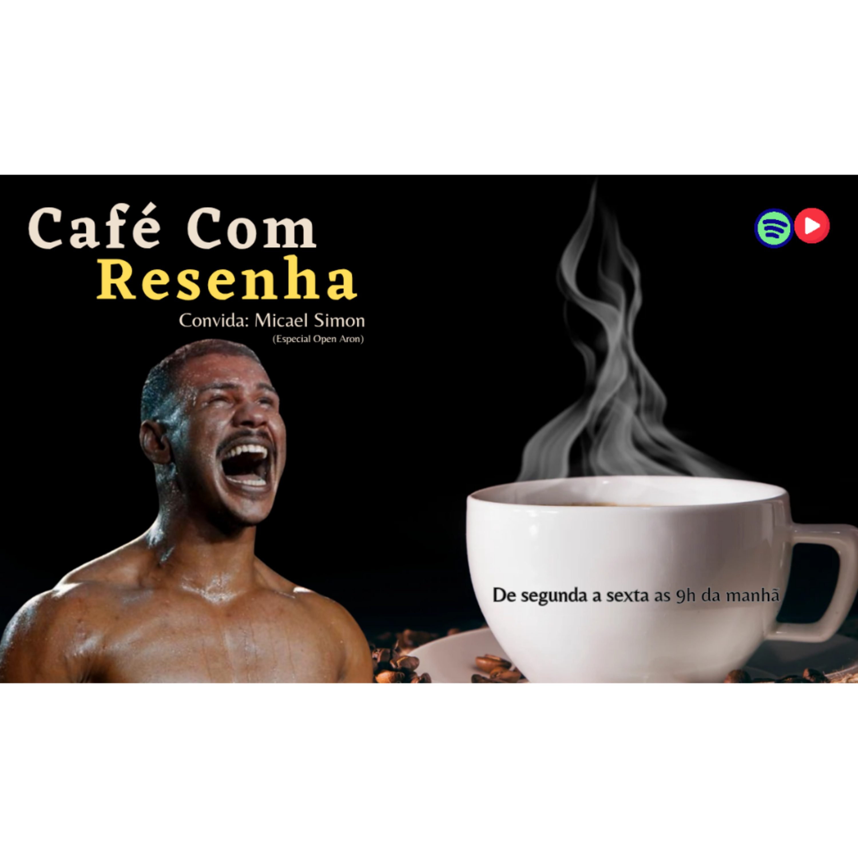 Resenha MuayThai