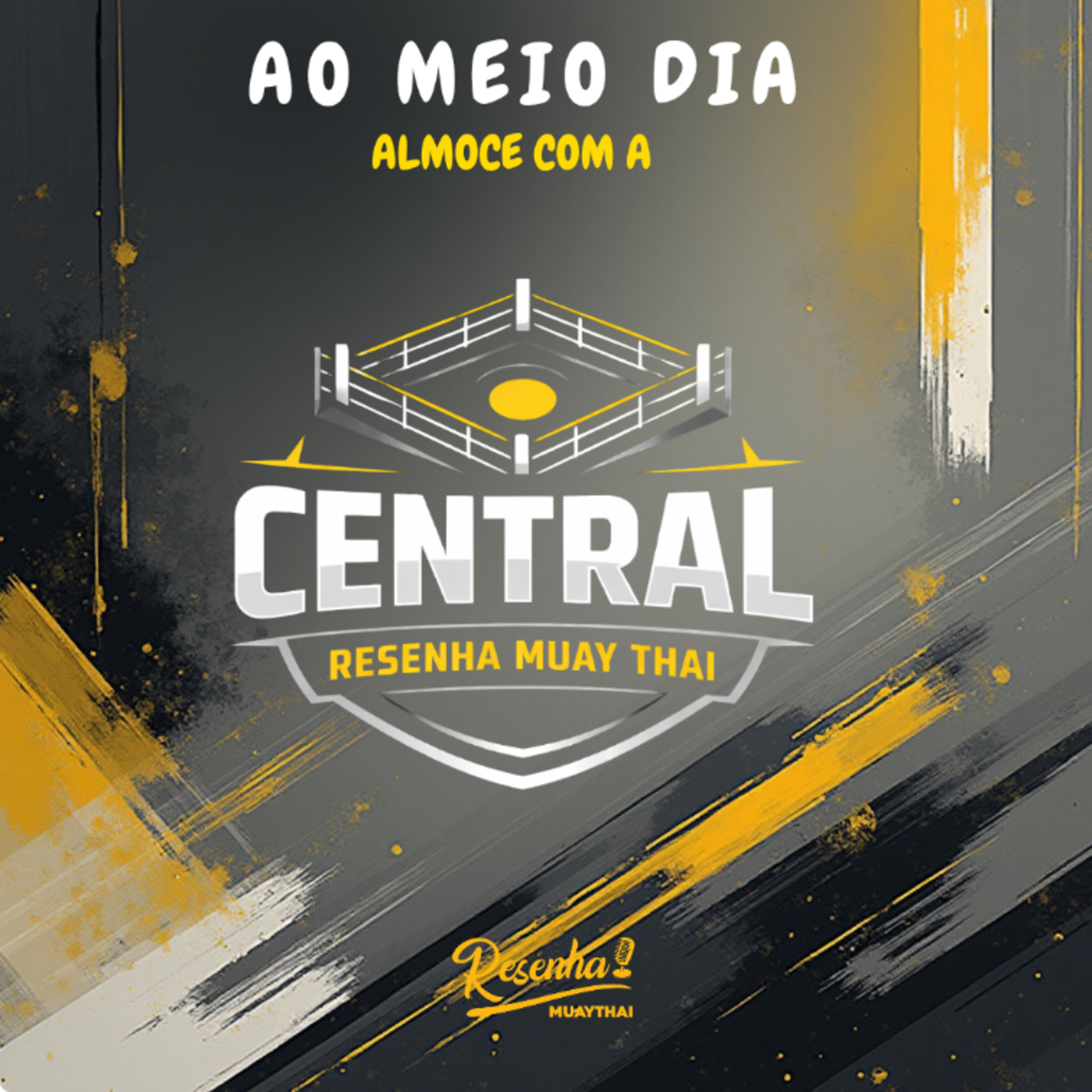 Resenha MuayThai