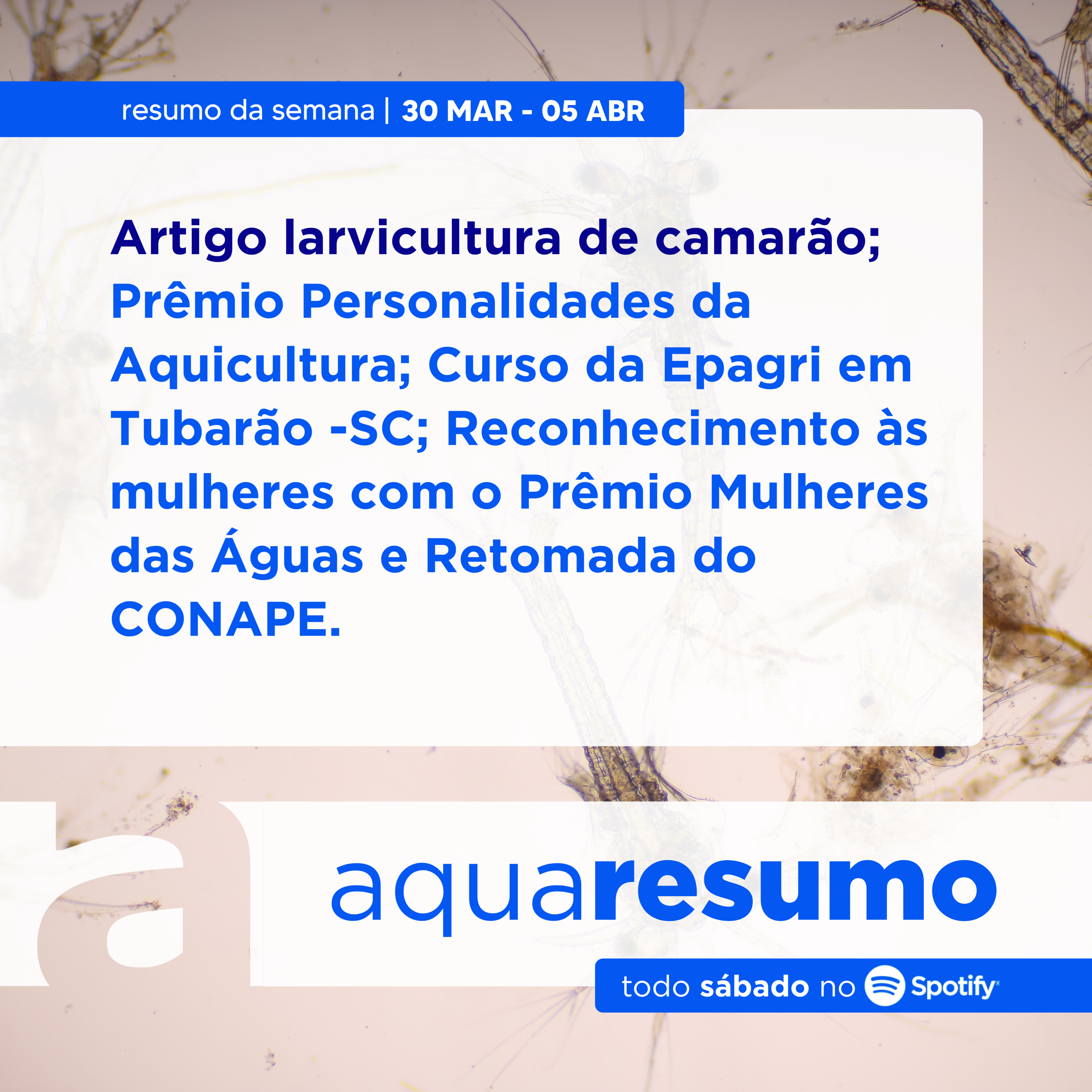 aquaresumo 08