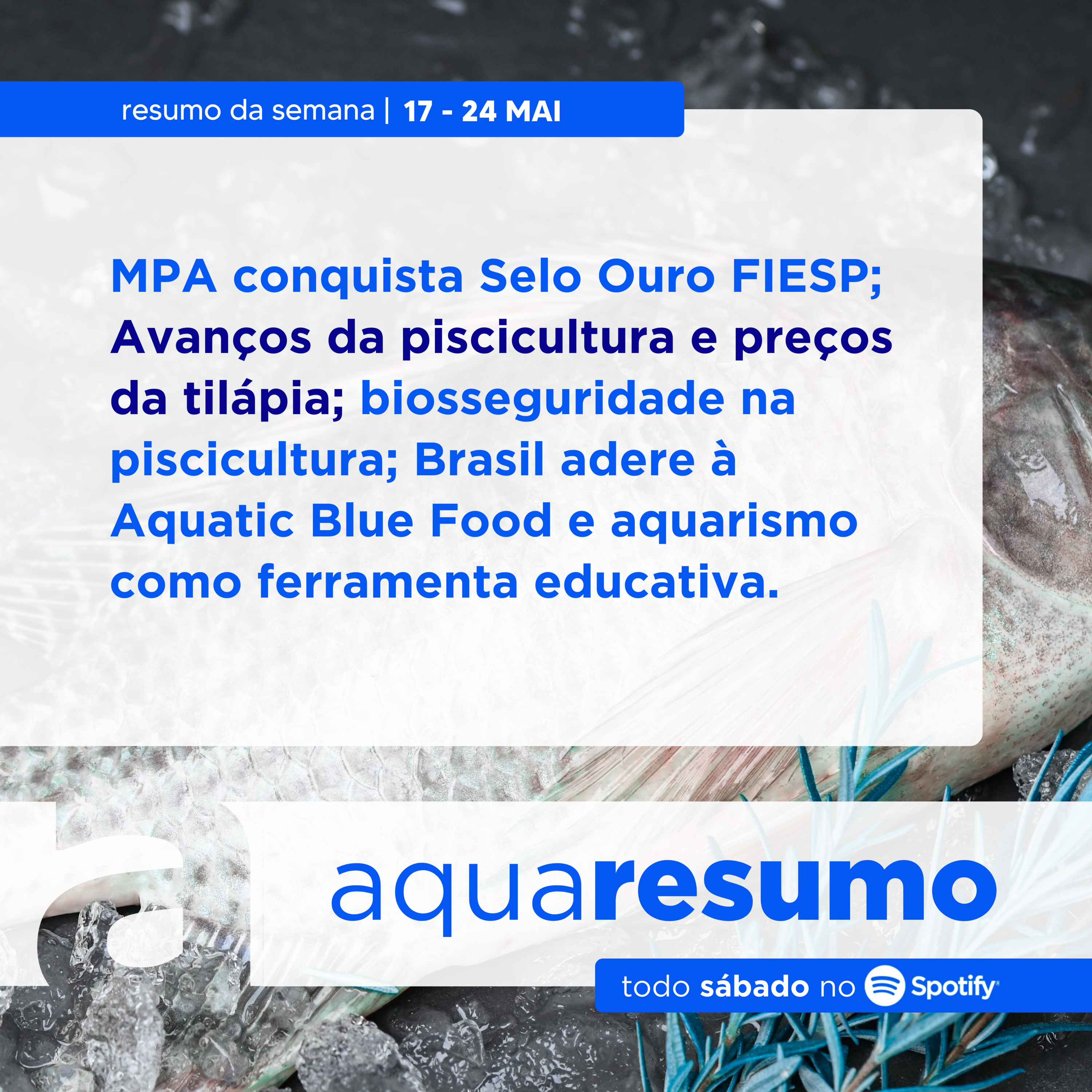 aquaresumo 15