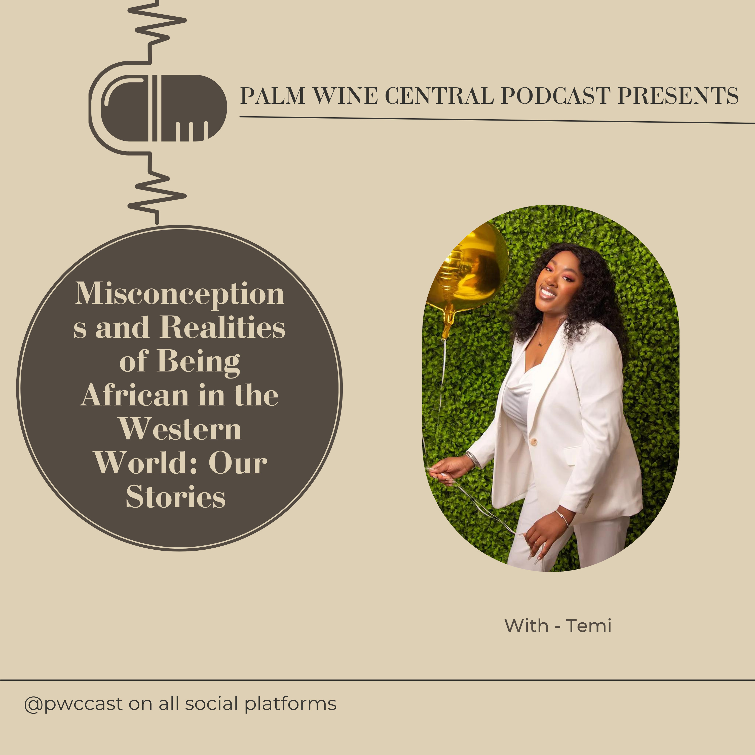 Misconceptions and Realities of Being African in the Western World: Our Stories - FT Temi episode artwork