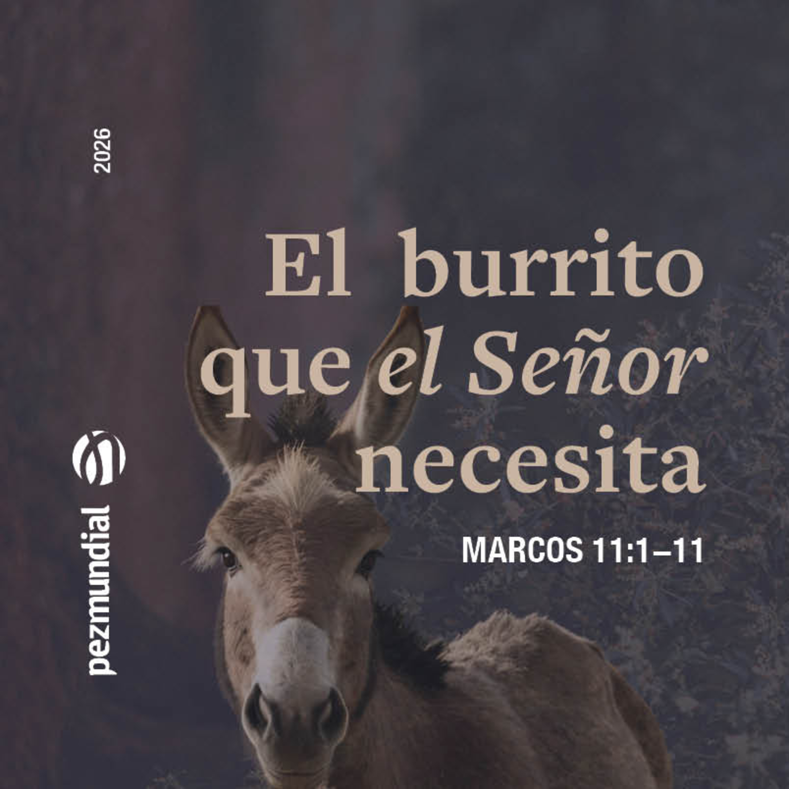 Portada de PezMundial