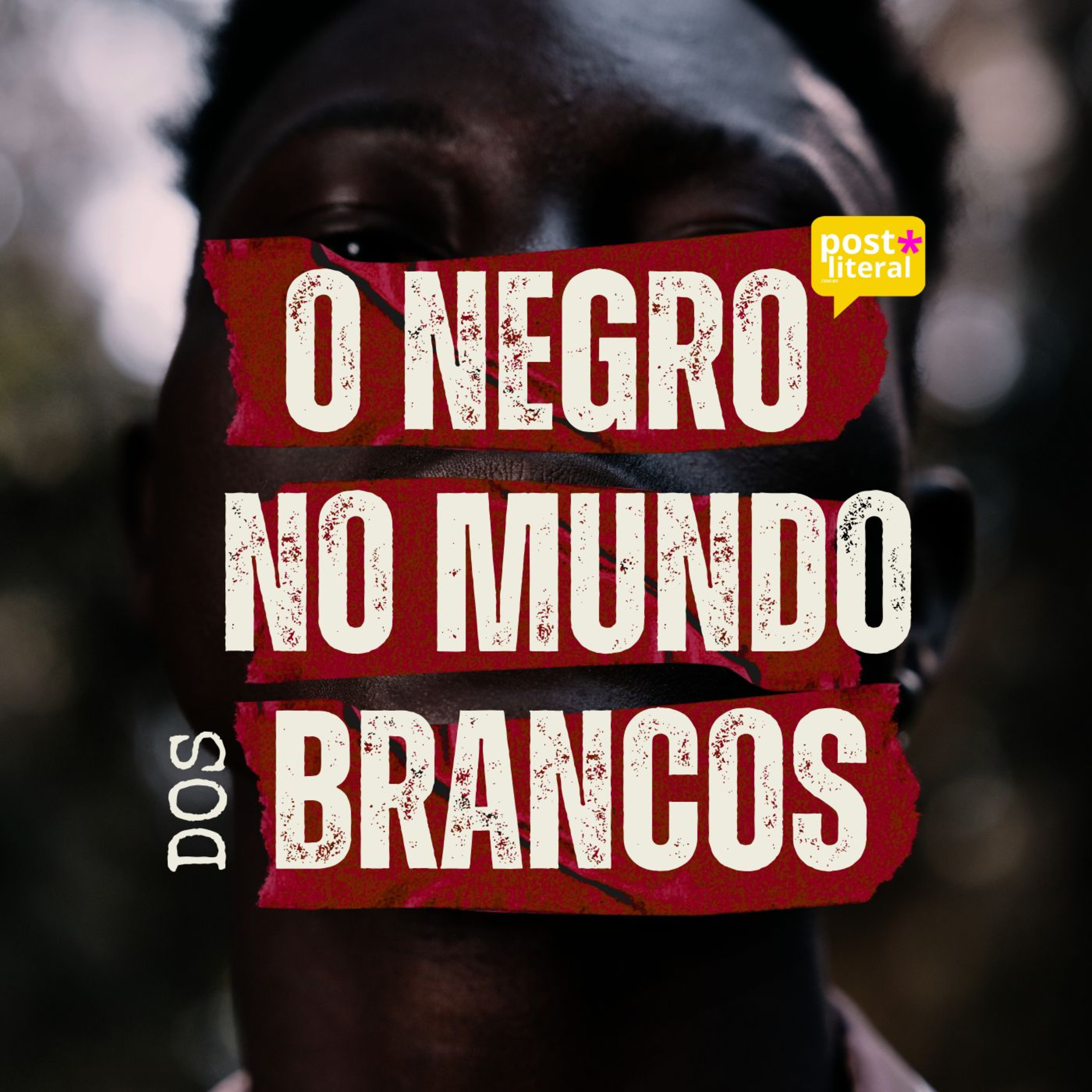 o negro no mundo dos brancos