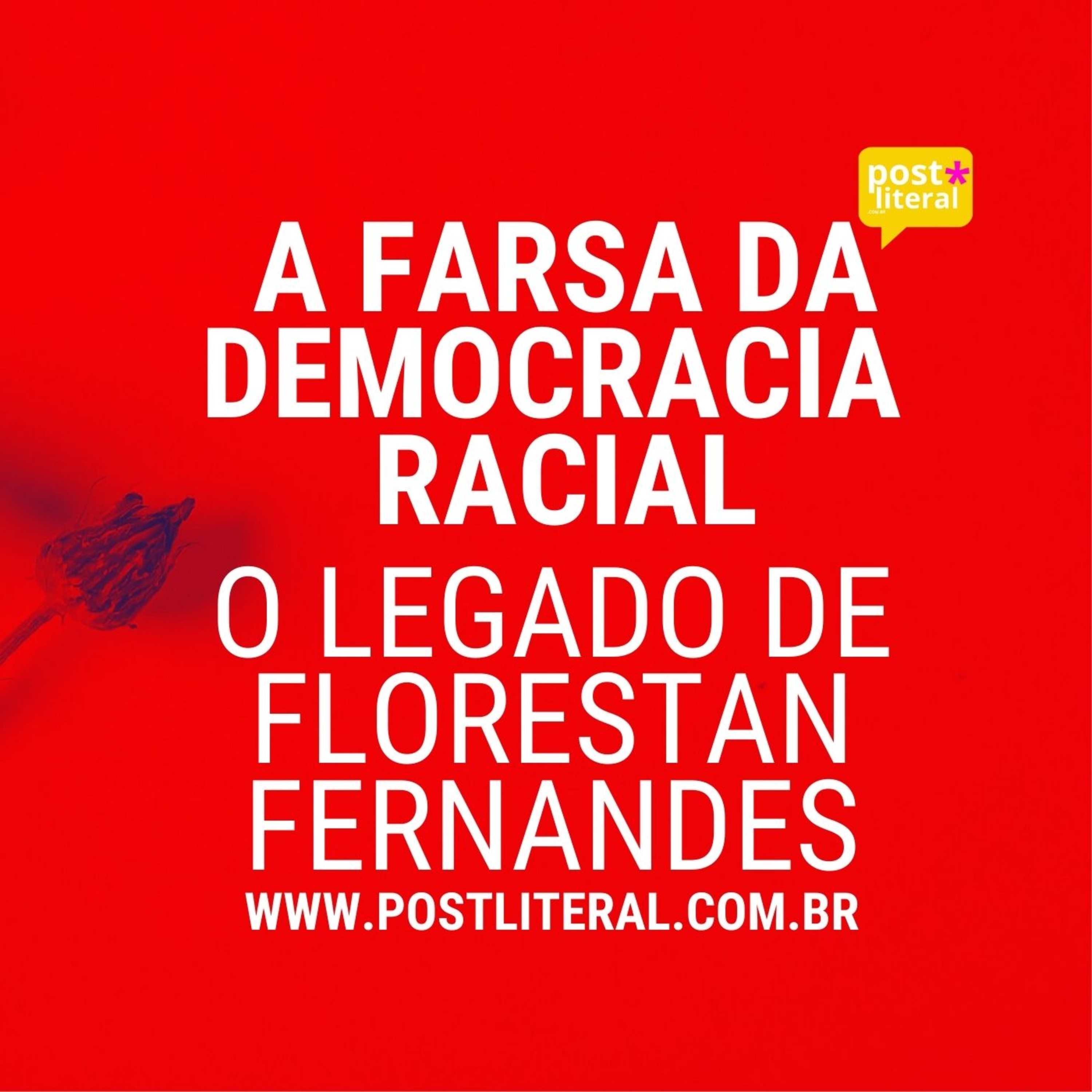 A Farsa da Democracia Racial: O Legado de Florestan Fernandes