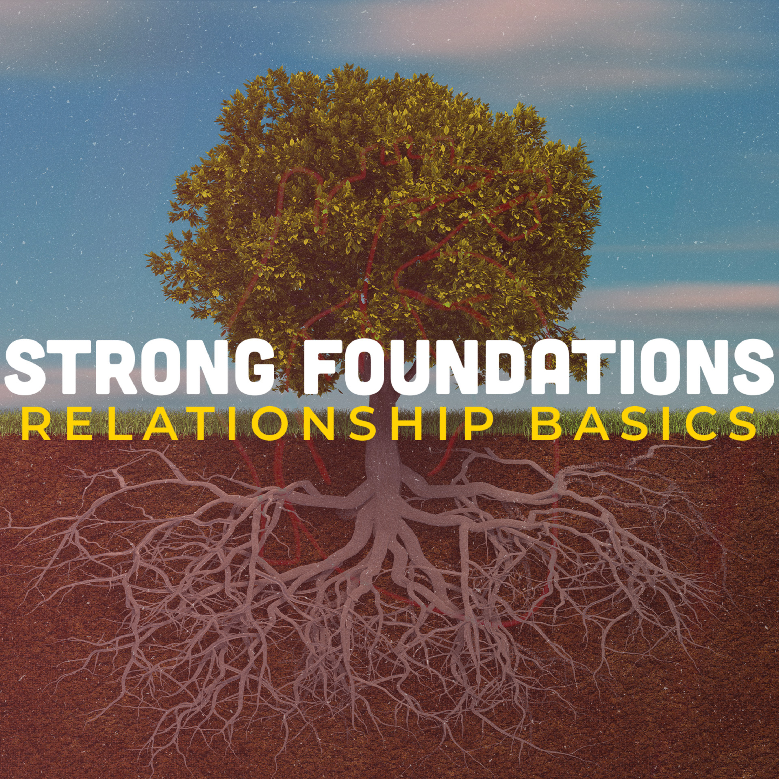 Strong Foundations - Relationship Basics - Part 5 episode artwork