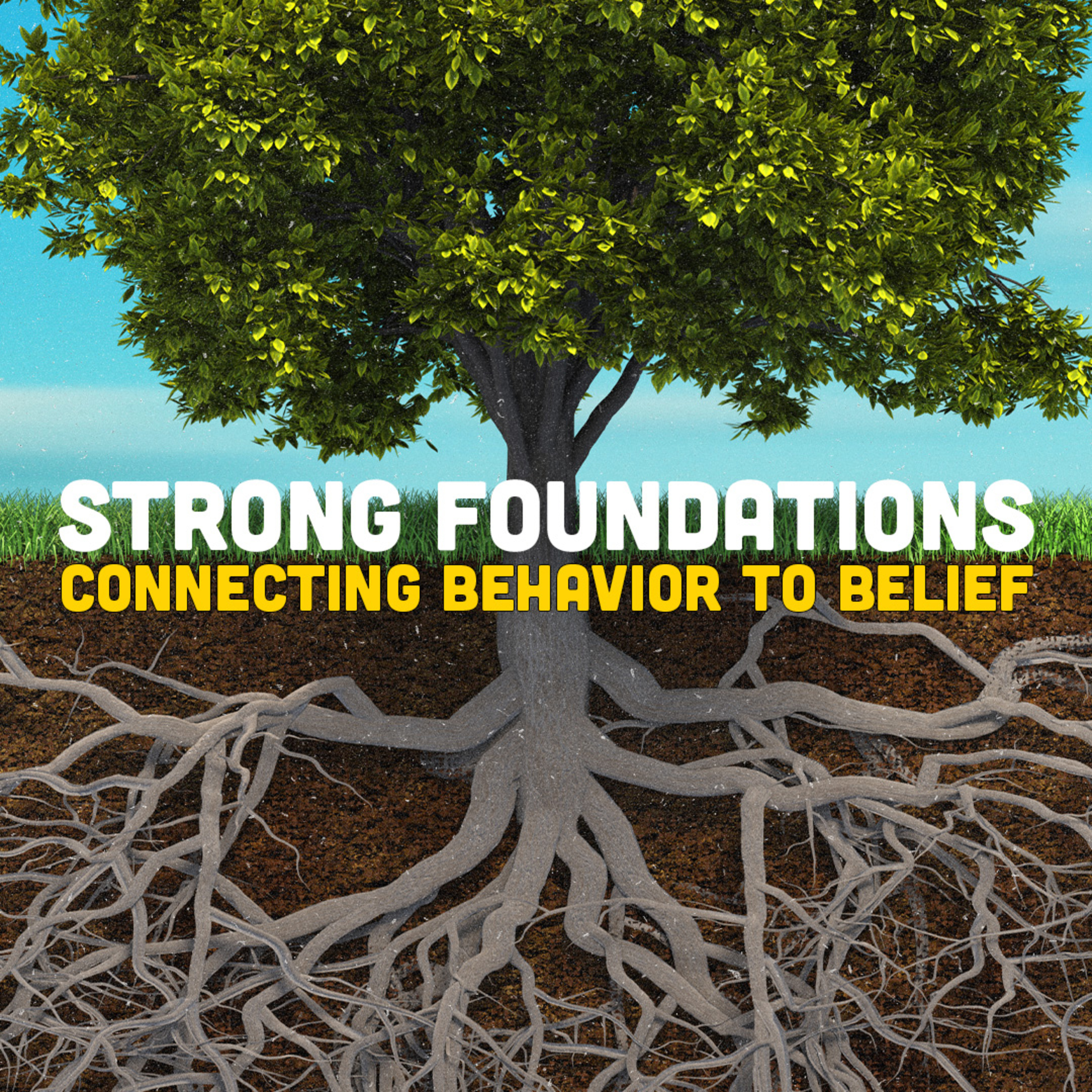 Strong Foundations - Connecting Behavior to Belief episode artwork