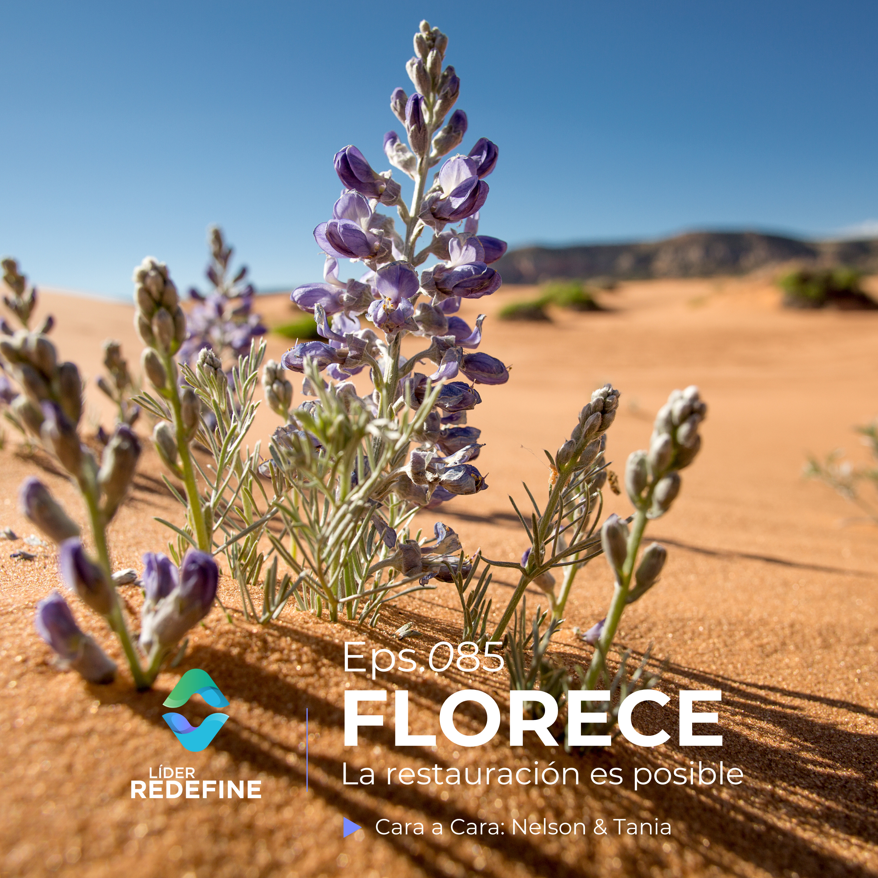 Florece: La restauración es posible episode artwork