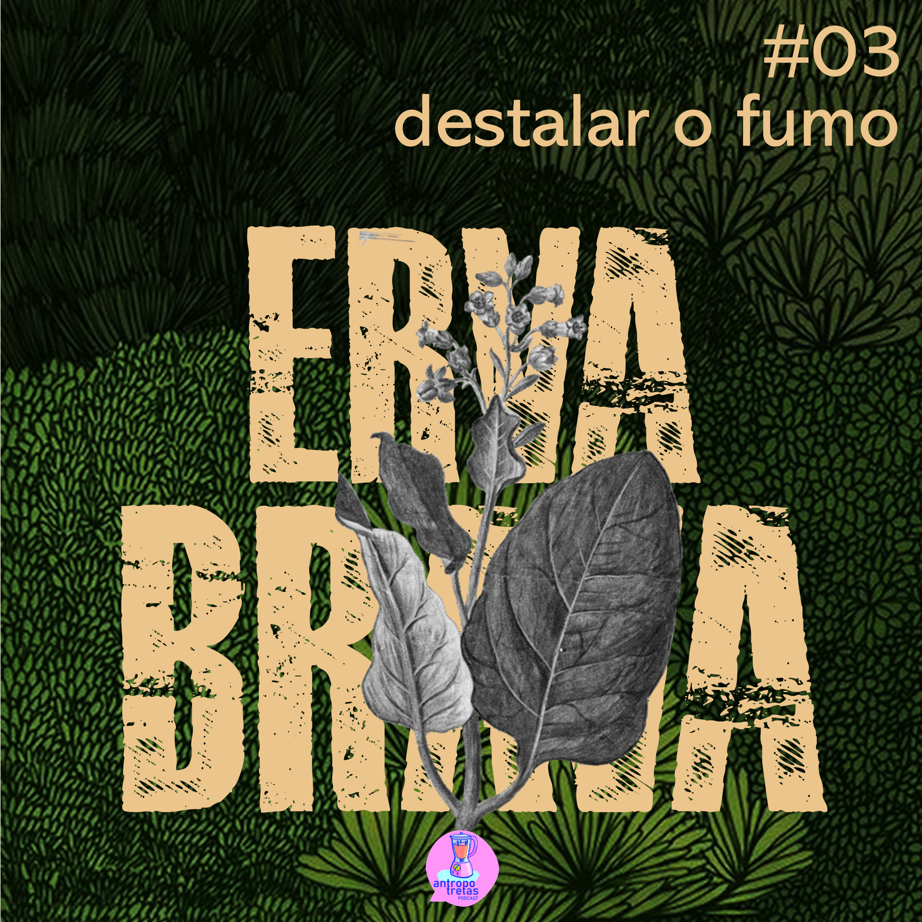 destalar o fumo - Erva Brava #03