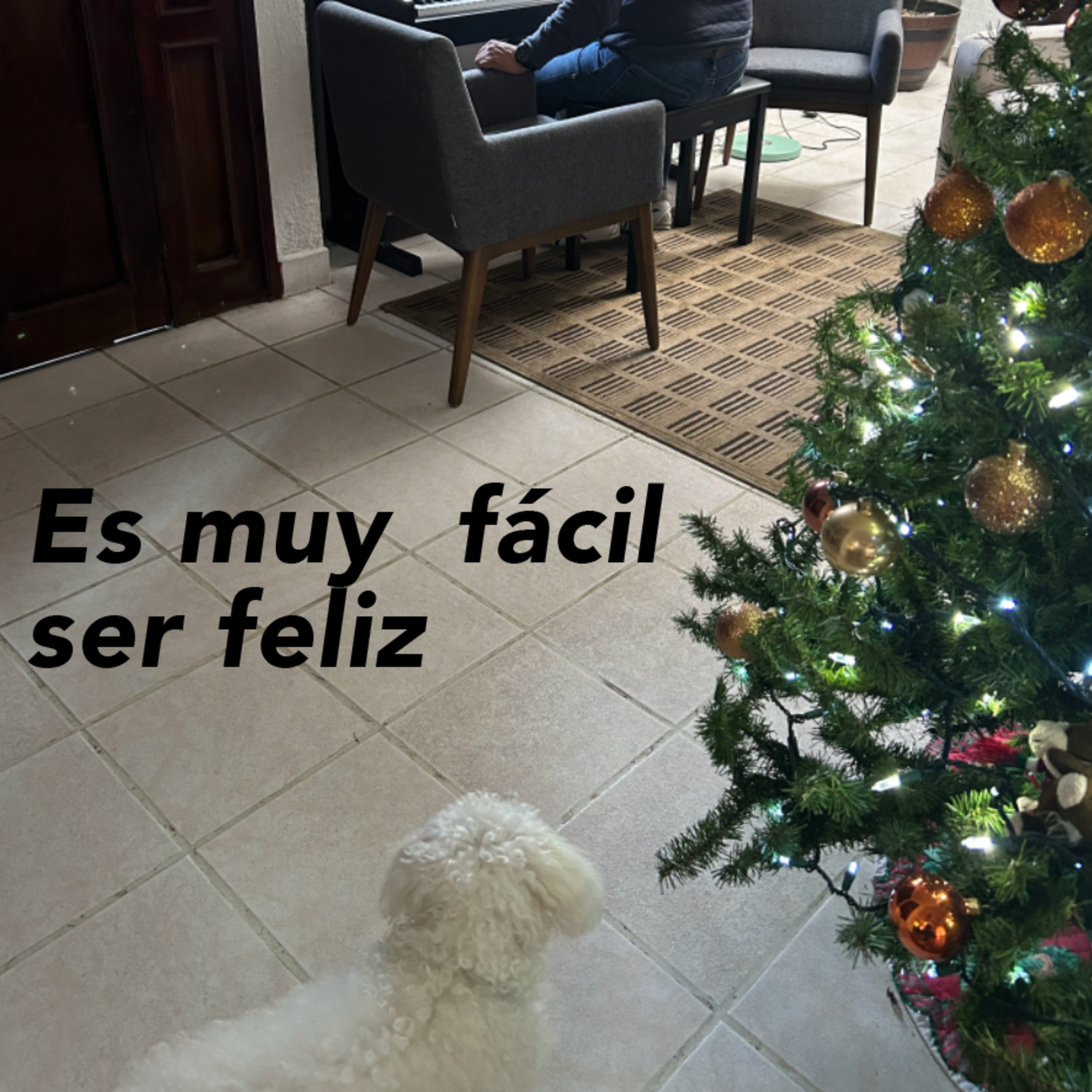 Día de la virgen, he hablado con Dios, Rincón culinario, Posada navideña, no me esta gustando tanto el frío, top 3 canciones de Natanael Cano y no tengo ropa. episode artwork