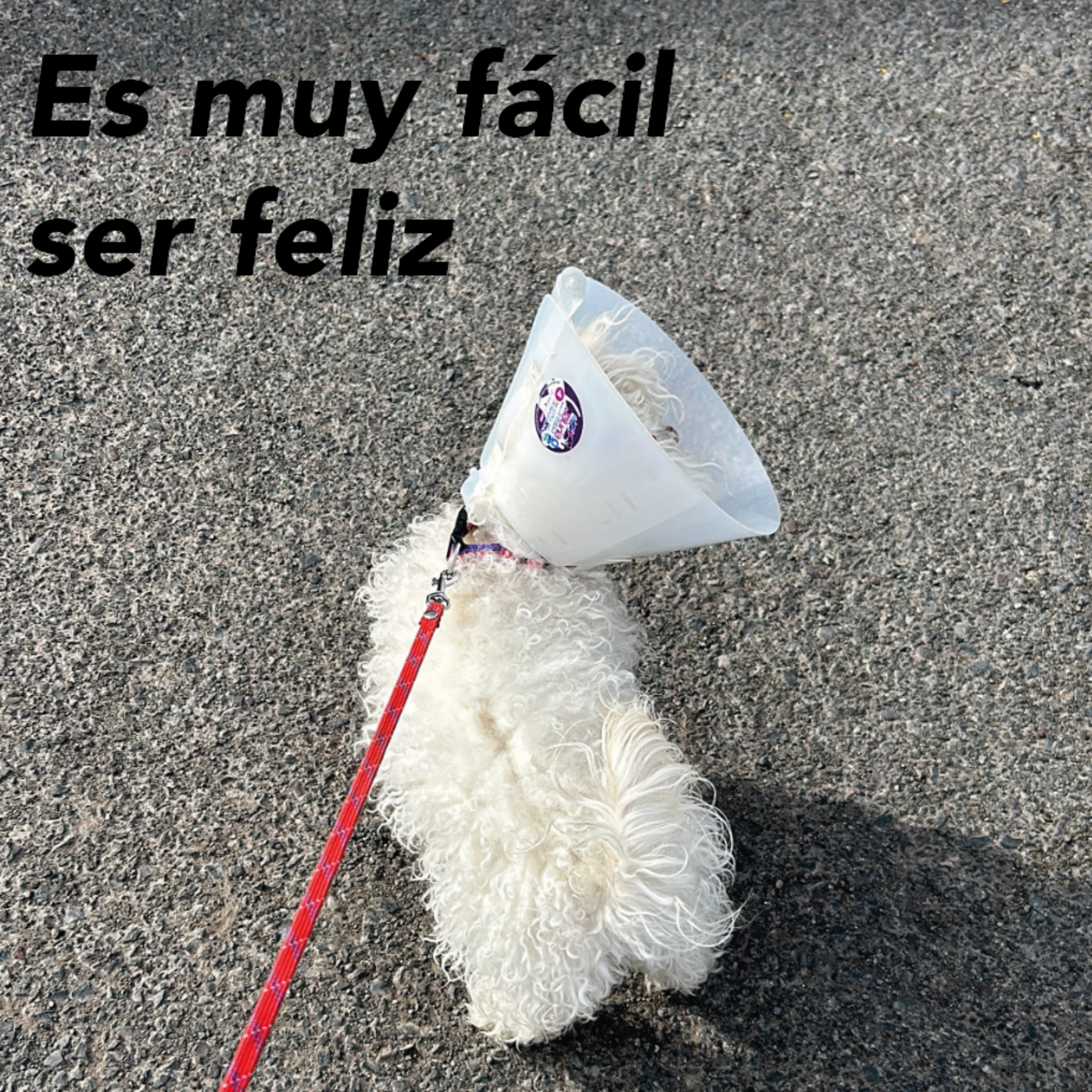 El mundo de Marco