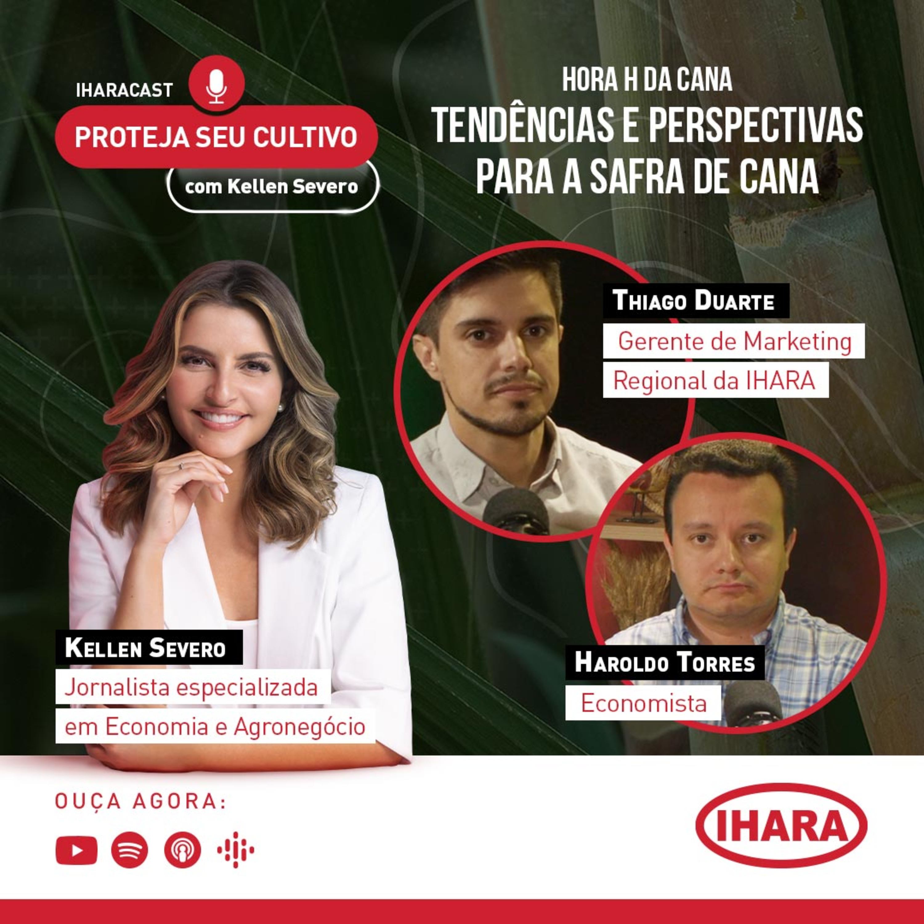 #36 - Tendências e perspectivas para a safra de cana episode artwork