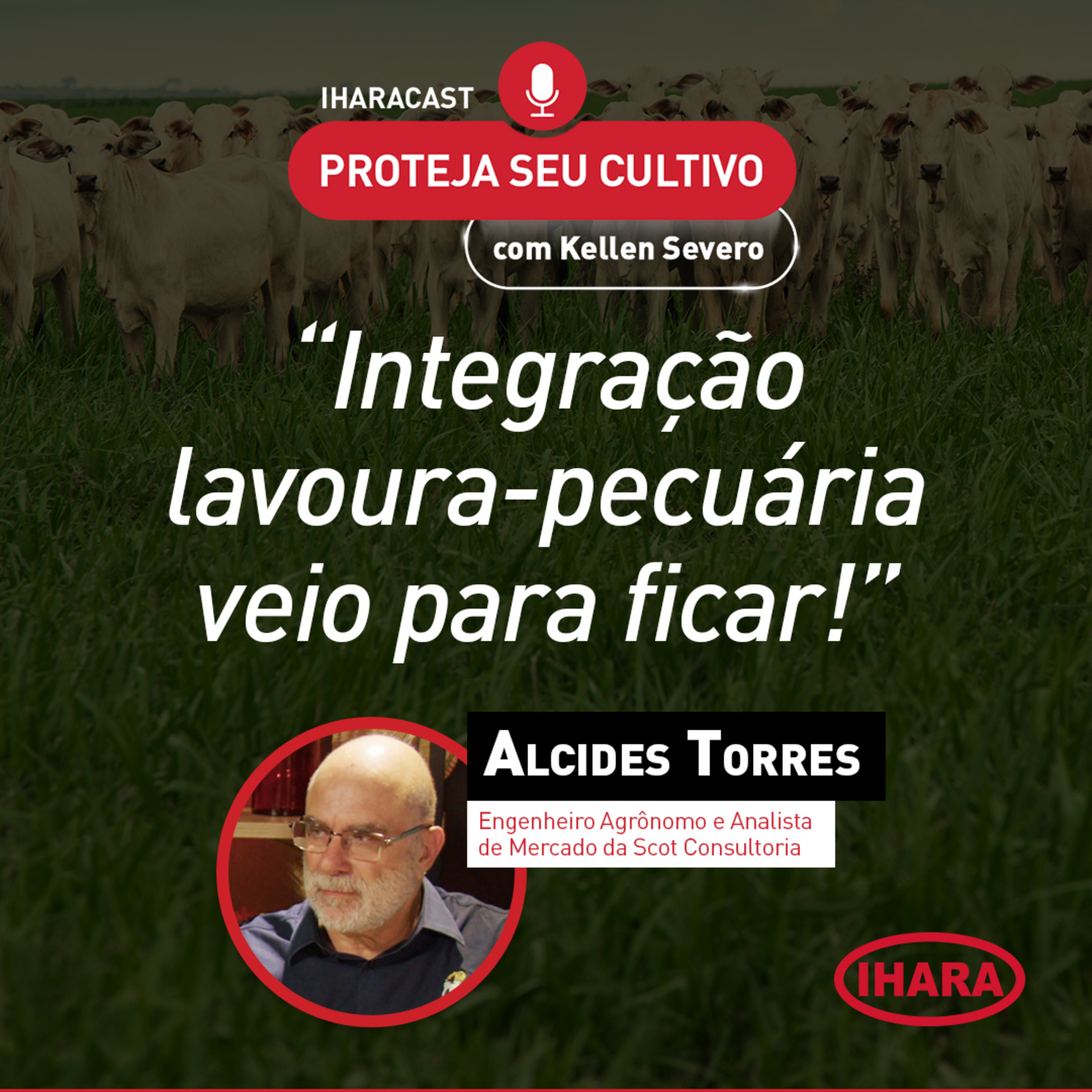 #37 - Integração lavoura-pecuária  episode artwork