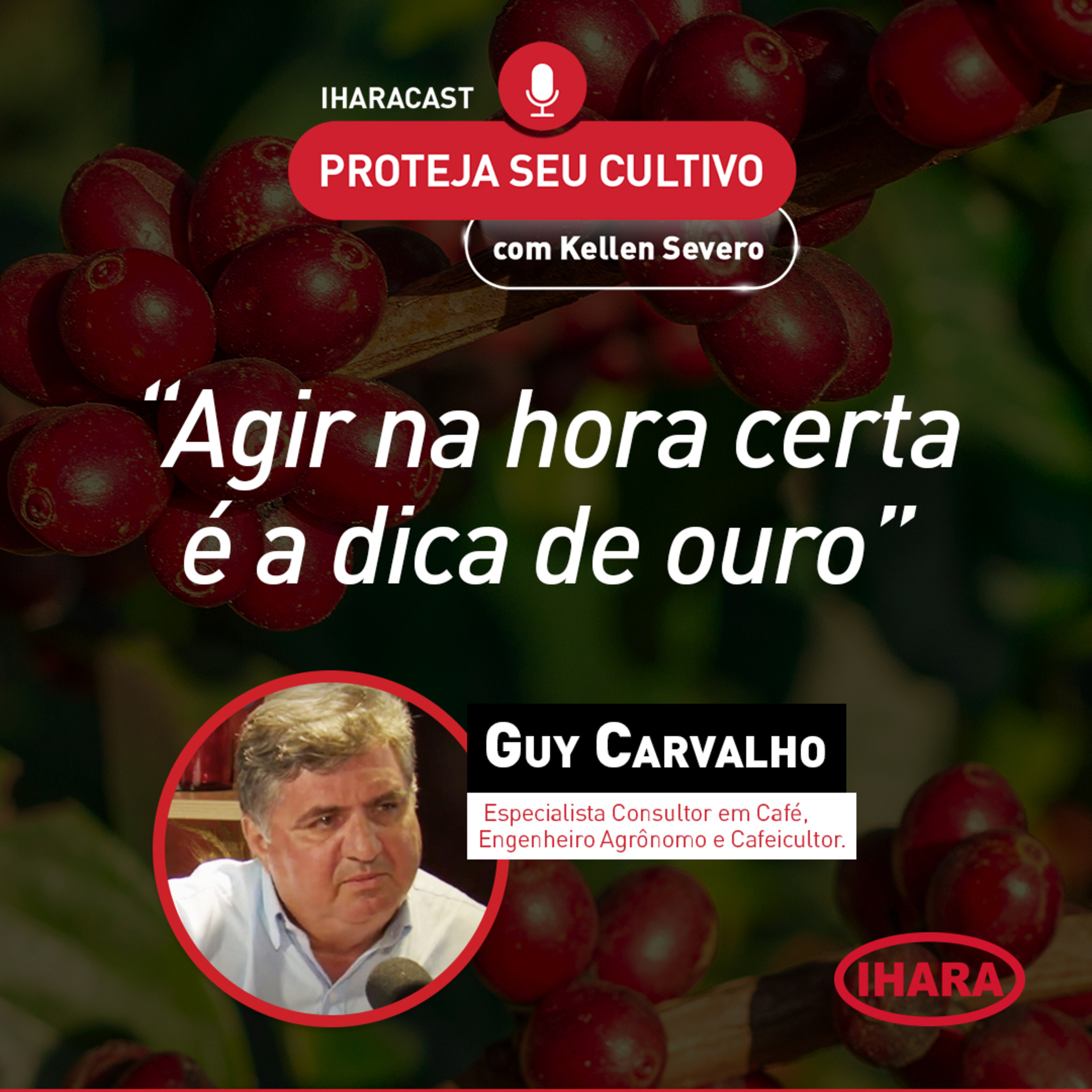 #38 - Como alcançar alta produtividade no cultivo do café episode artwork