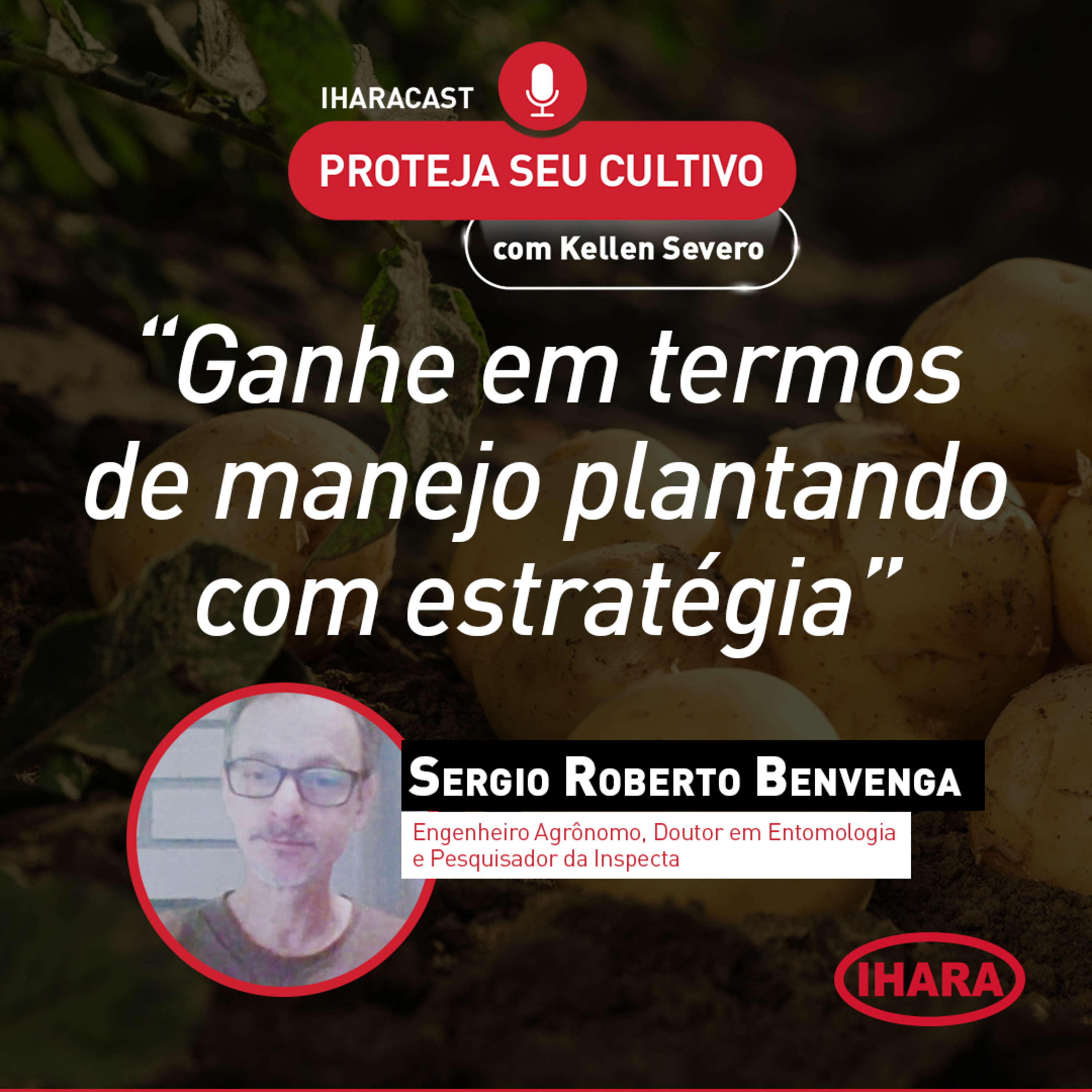 #40 - Fatores-chave para alta produtividade na cultura da batata episode artwork