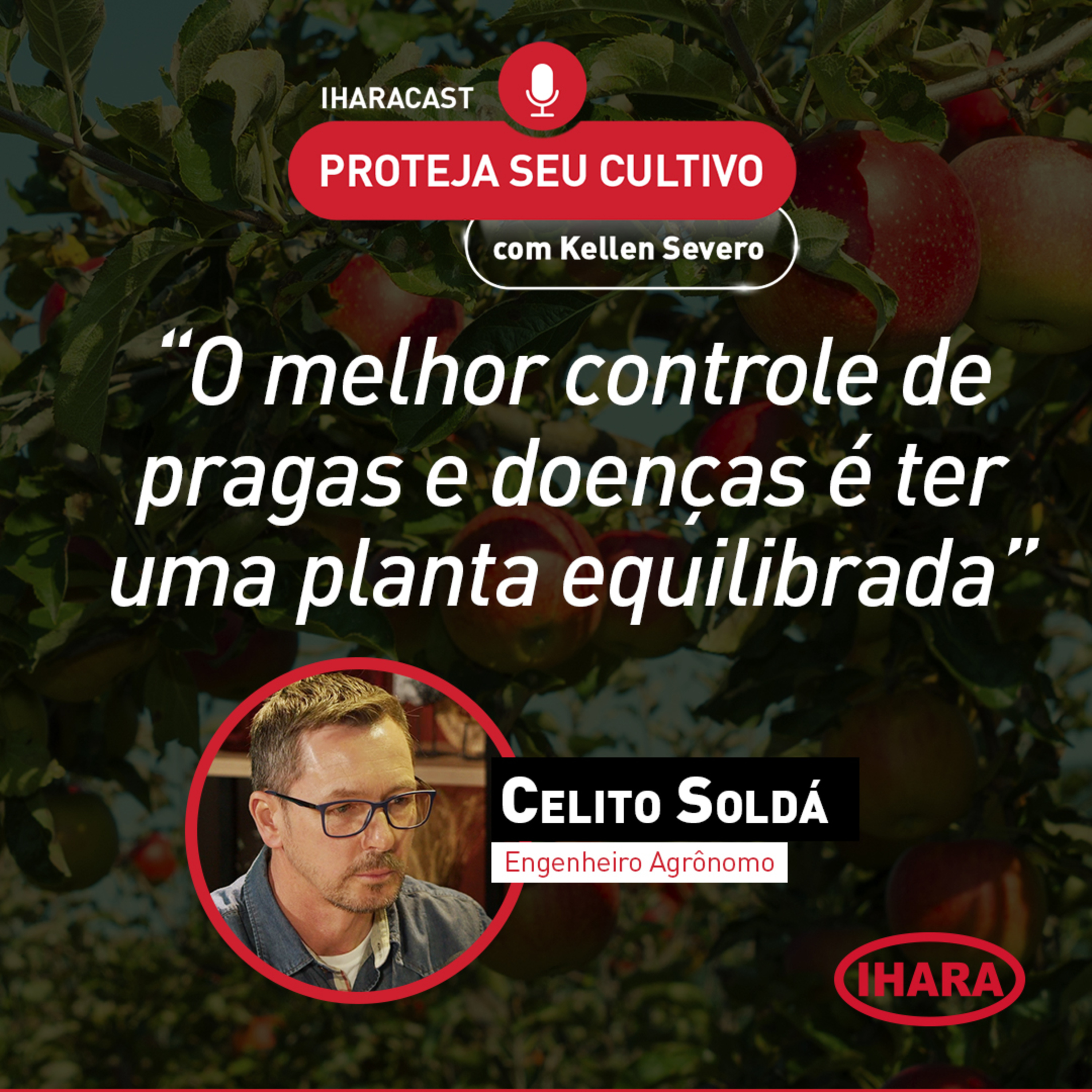#41 - Desafios para produção mais uniforme na cultura da maçã episode artwork