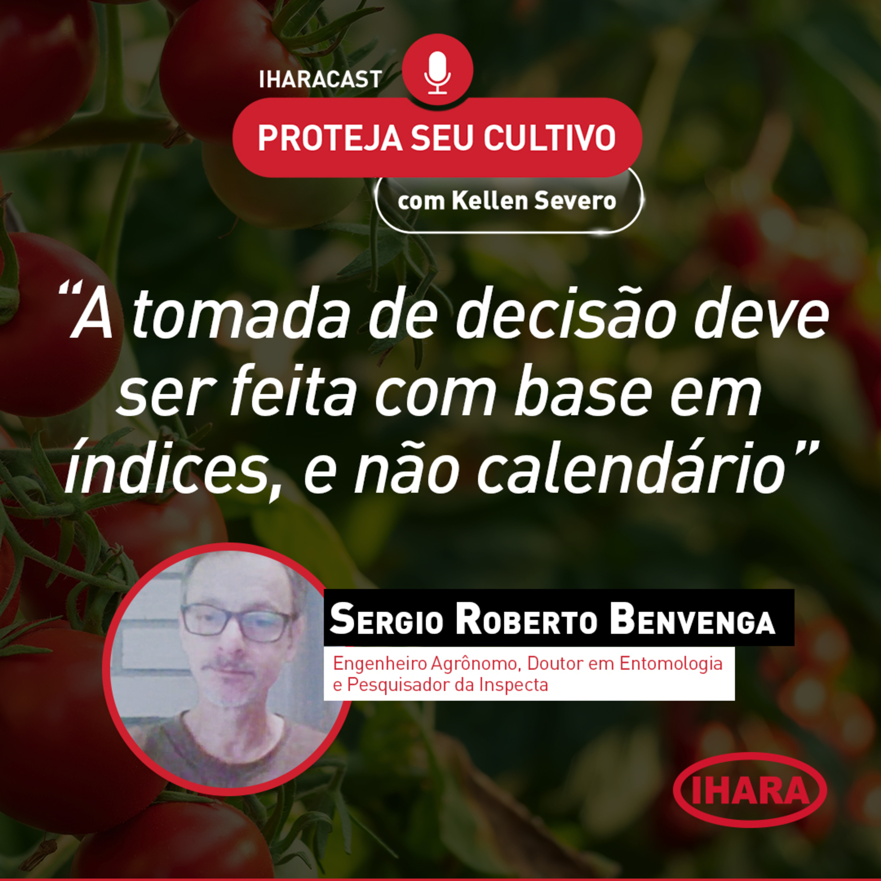 #42 - Manejo de pragas na cultura do tomate episode artwork
