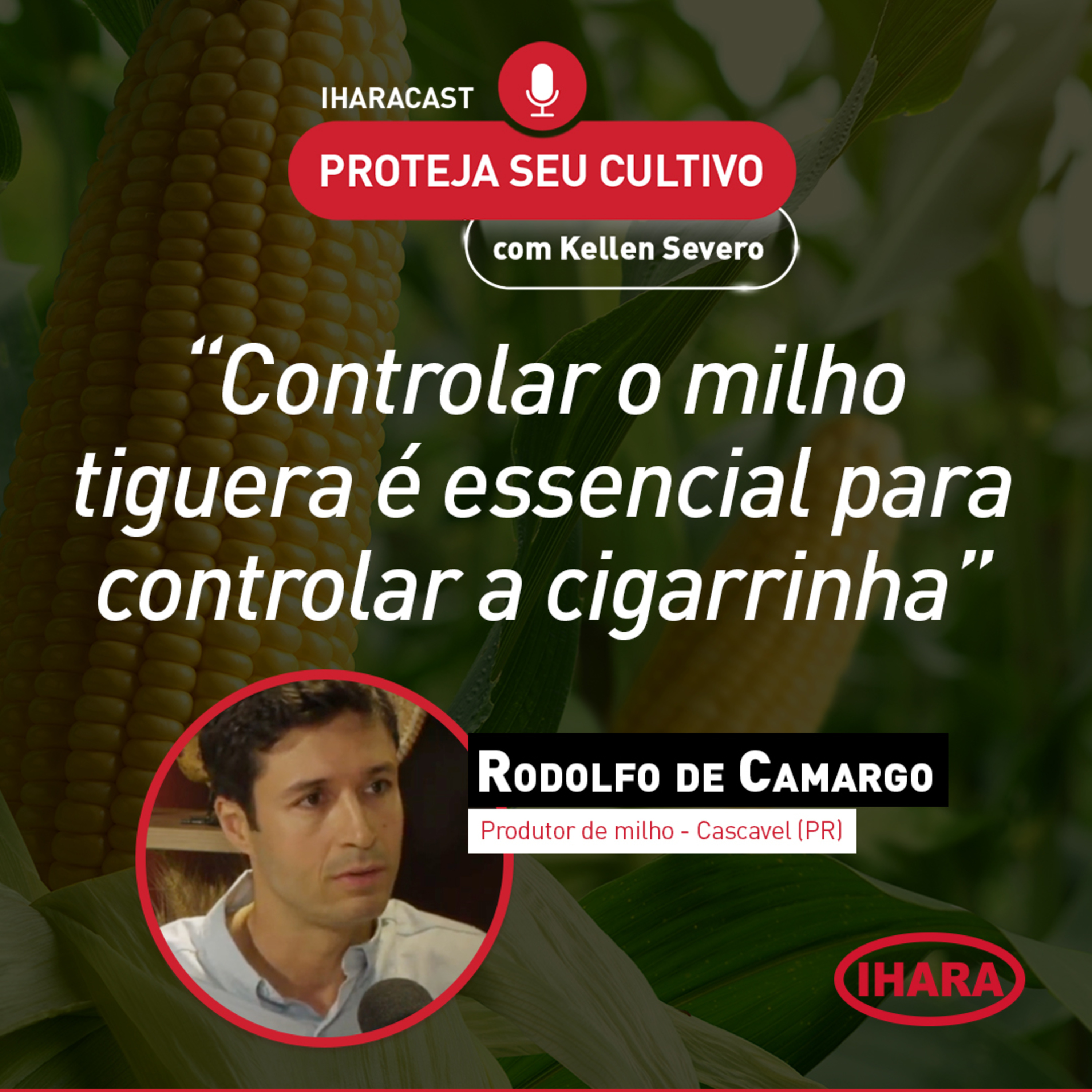 #43 - Manejo de sucesso: como não deixar a cigarrinha interferir na produtividade episode artwork