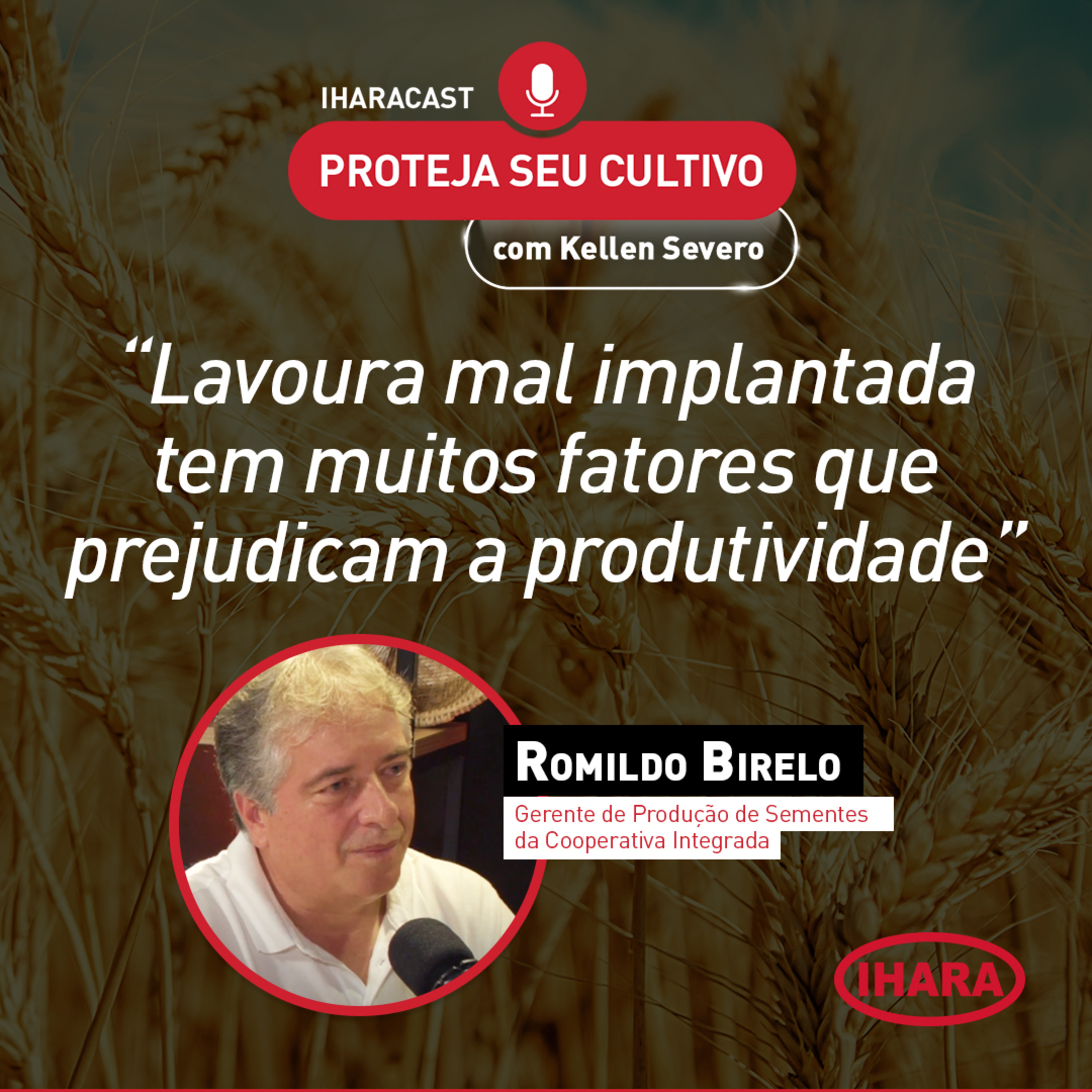 #44 - Influência da semente no aumento de produtividade do trigo episode artwork
