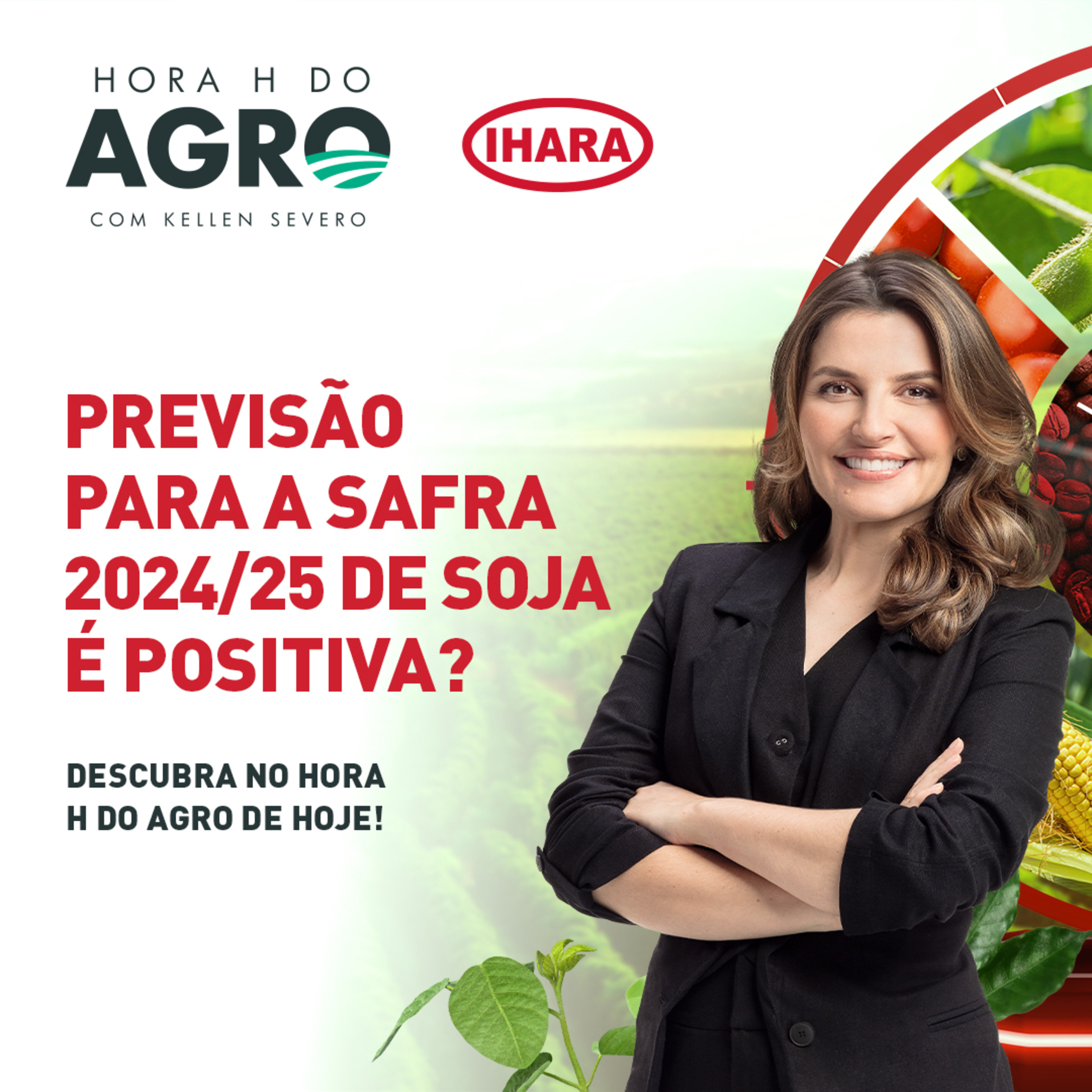 19/08/2024 - Previsão para a safra 2024/25 de soja é positiva? | Hora H do Agro
