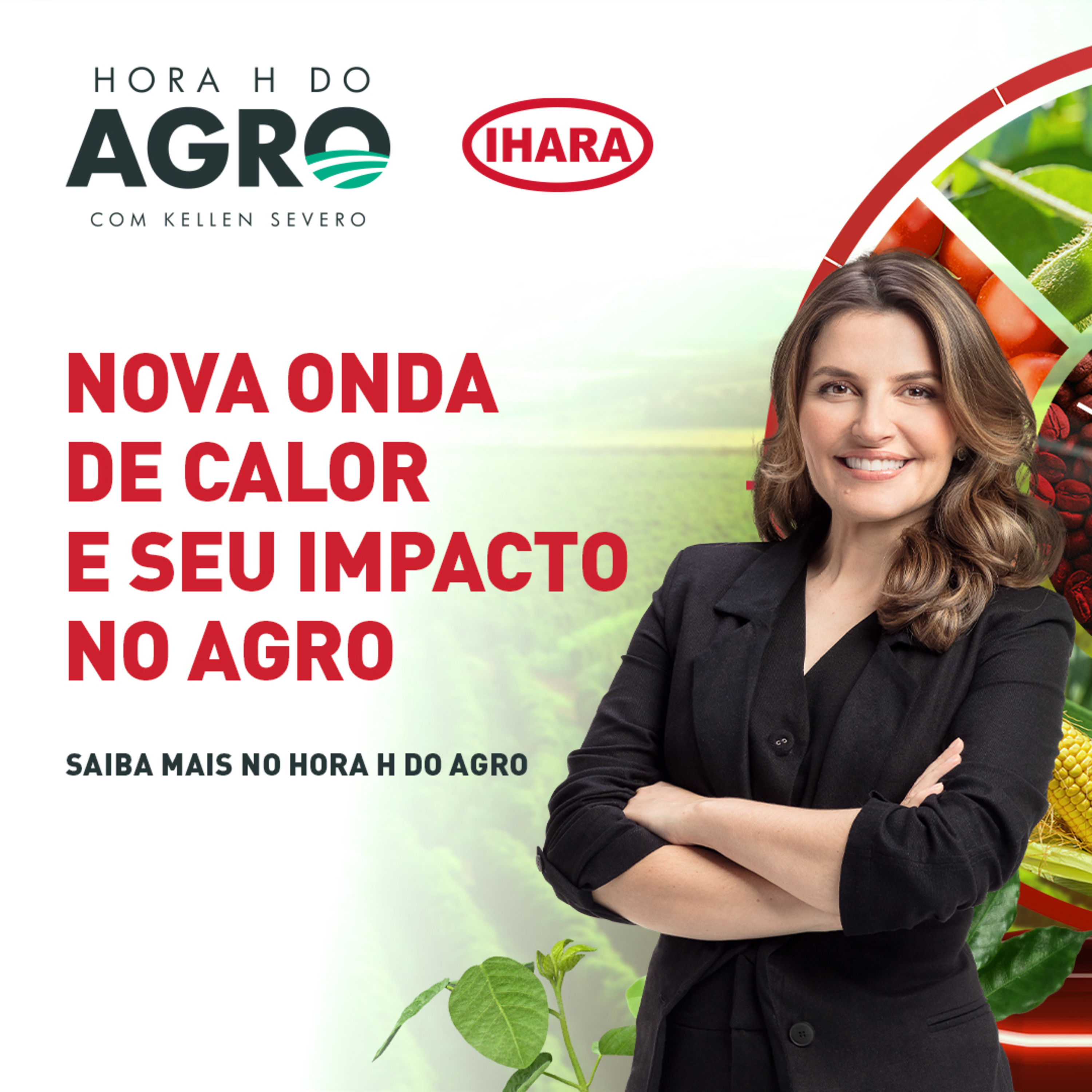 02/09/2024 - Nova onda de calor e seu impacto no agro | Hora H do Agro