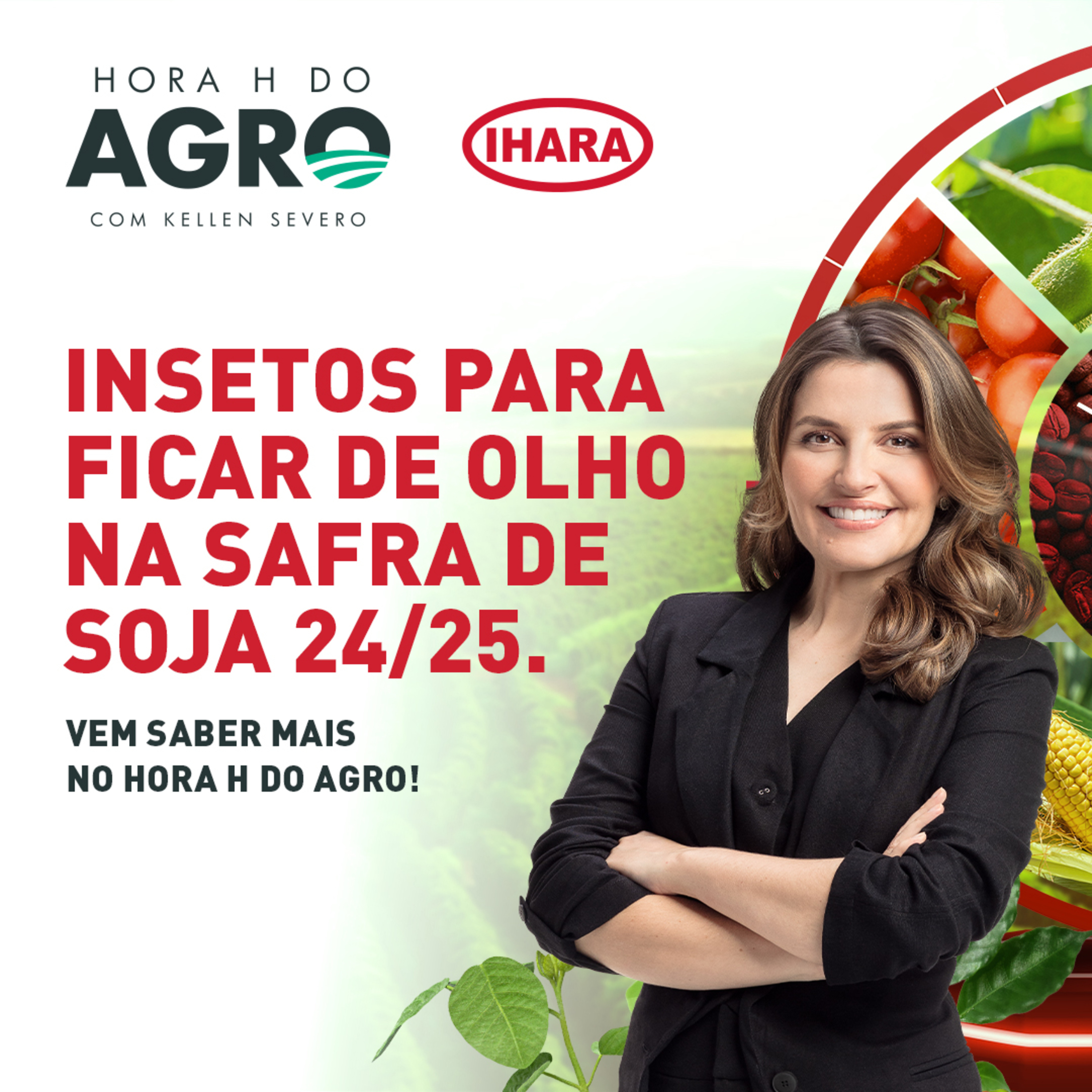 11/11/2024 - Novos insetos na lavoura e outras notícias | Hora H do Agro episode artwork