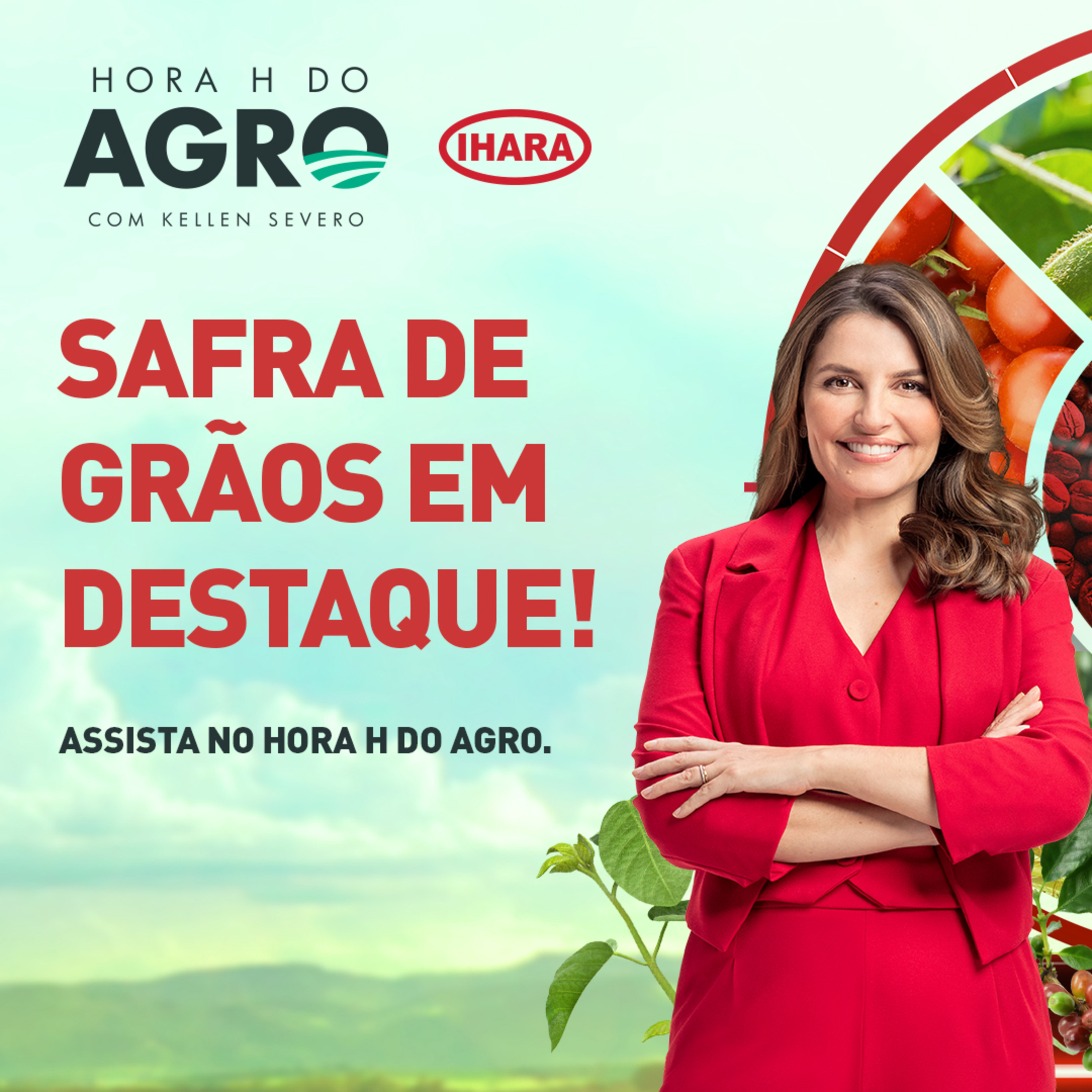 18/11/2024 - Maior safra de grãos da história | Hora H do Agro