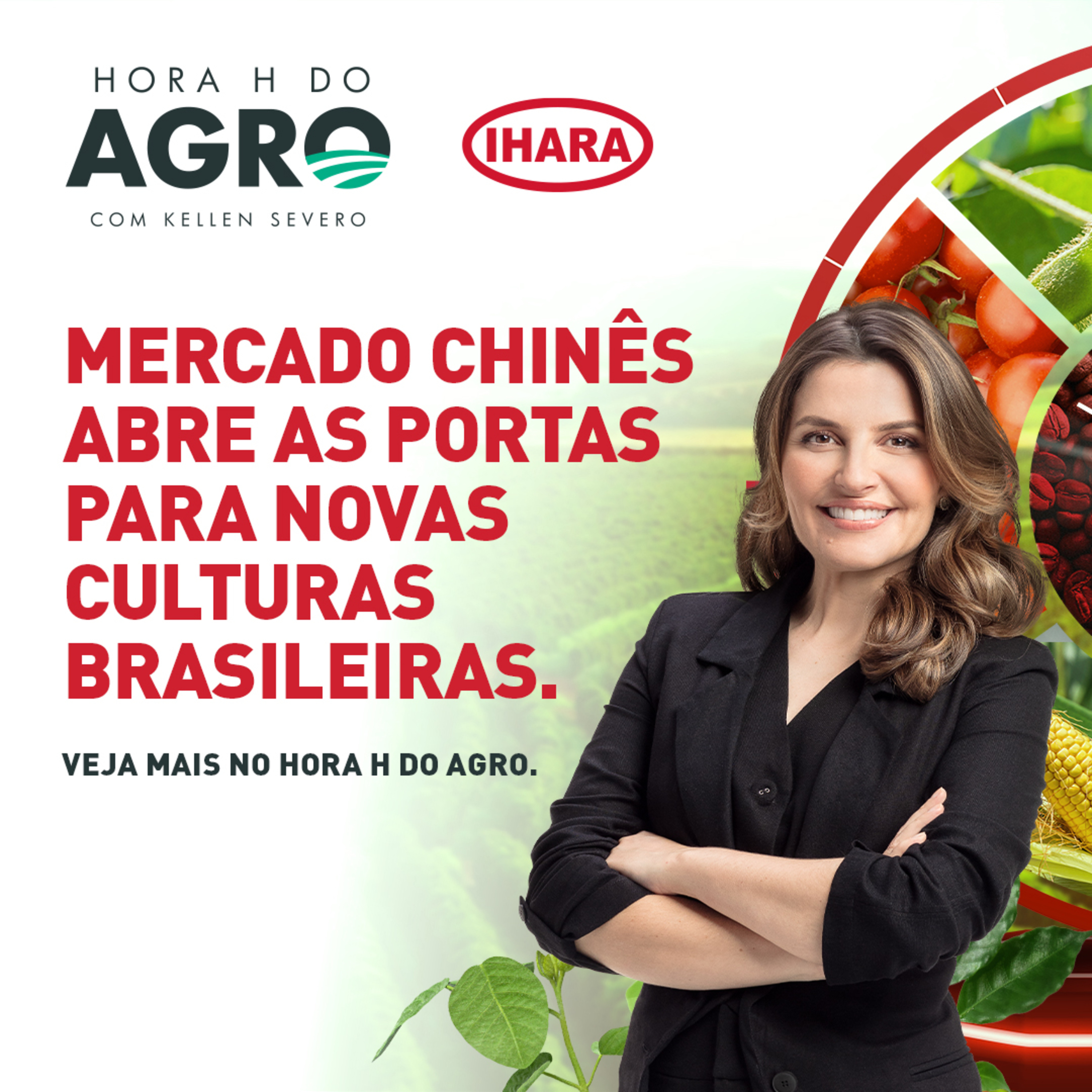 25/11/2024 - China abre portas para novas culturas brasileiras | Hora H do Agro episode artwork