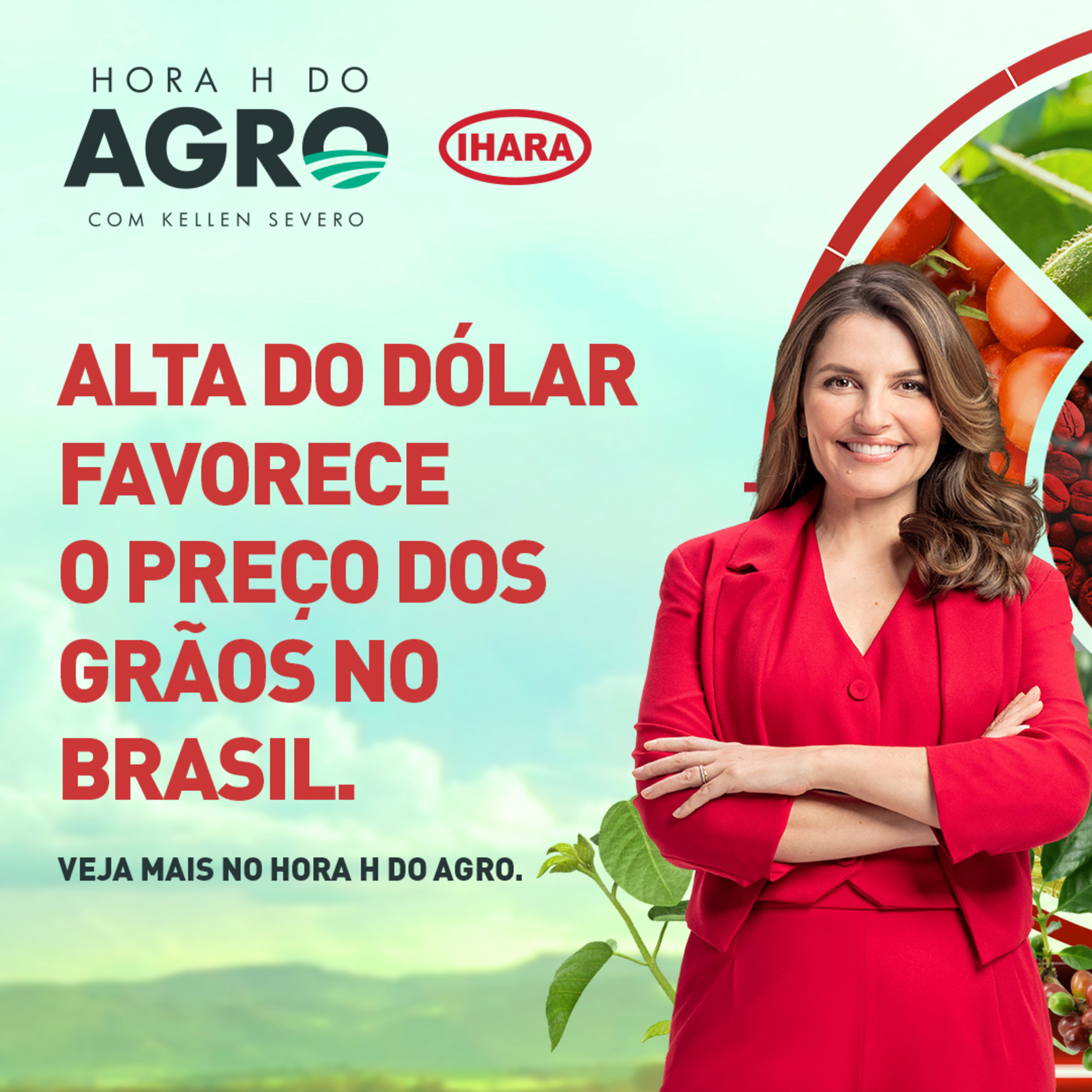 02/12/2024 - Alta do dólar favorece o preço dos grãos no Brasil | Hora H do Agro
