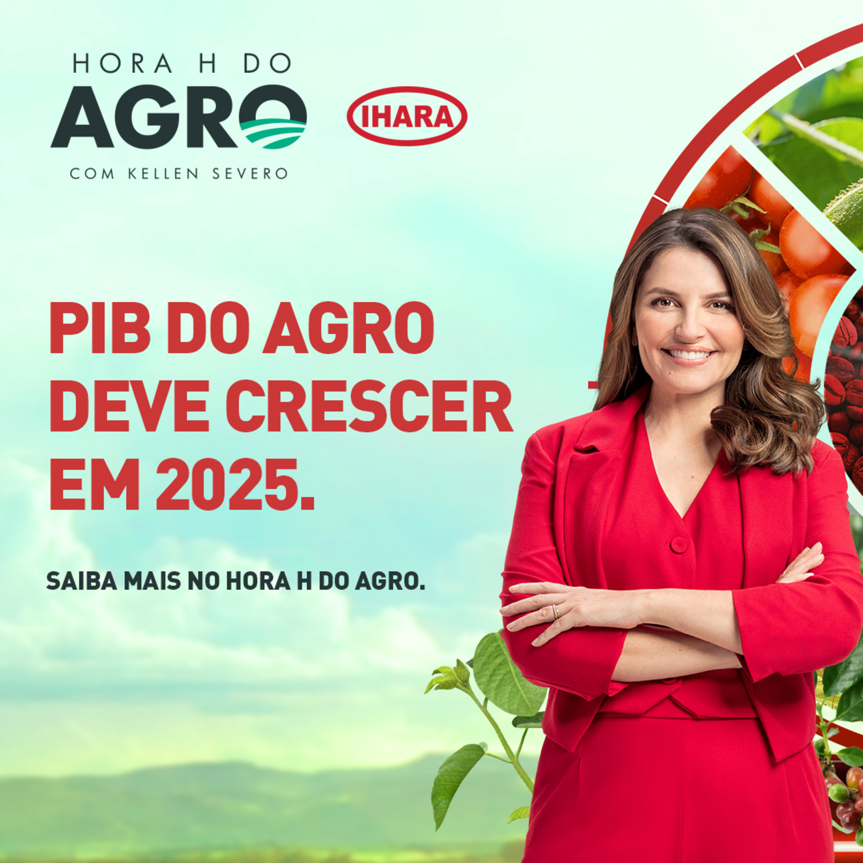 16/12/2024 - PIB do agro deve crescer em 2025 | Hora H do Agro episode artwork