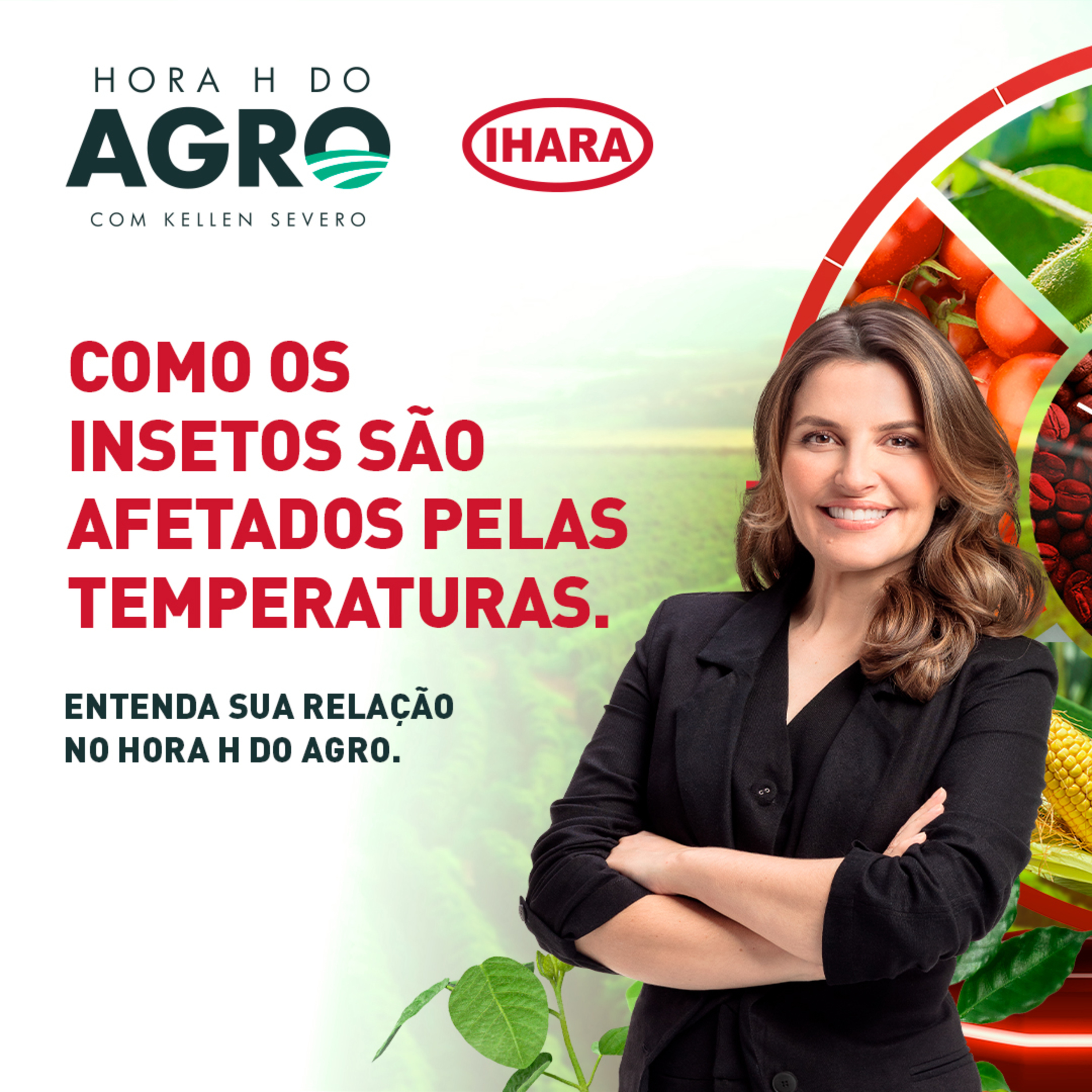24/02/2025 - Qual a relação entre os insetos-praga e as altas temperaturas? | Hora H do Agro episode artwork