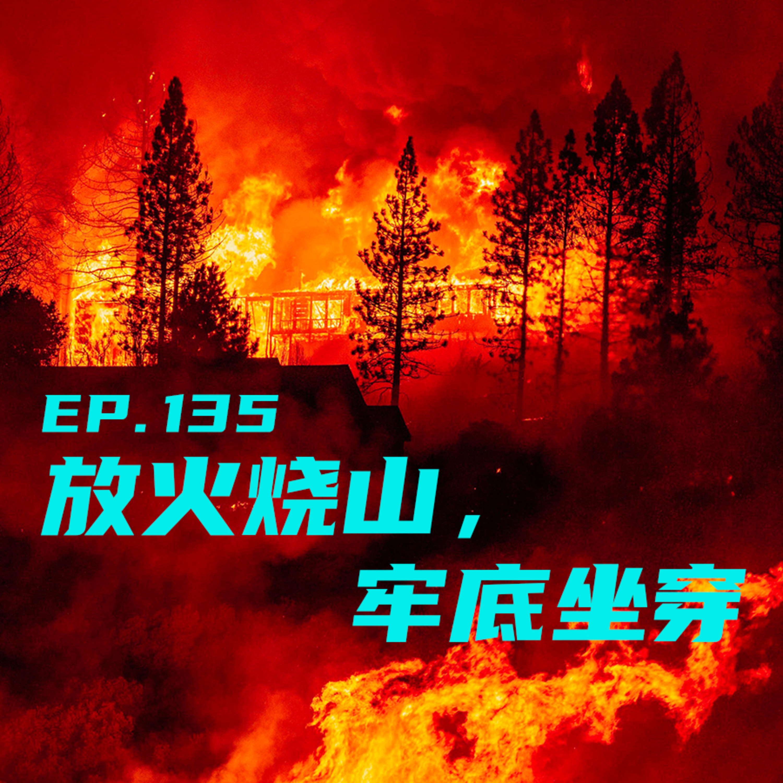 EP135 放火烧山，牢底坐穿 episode artwork