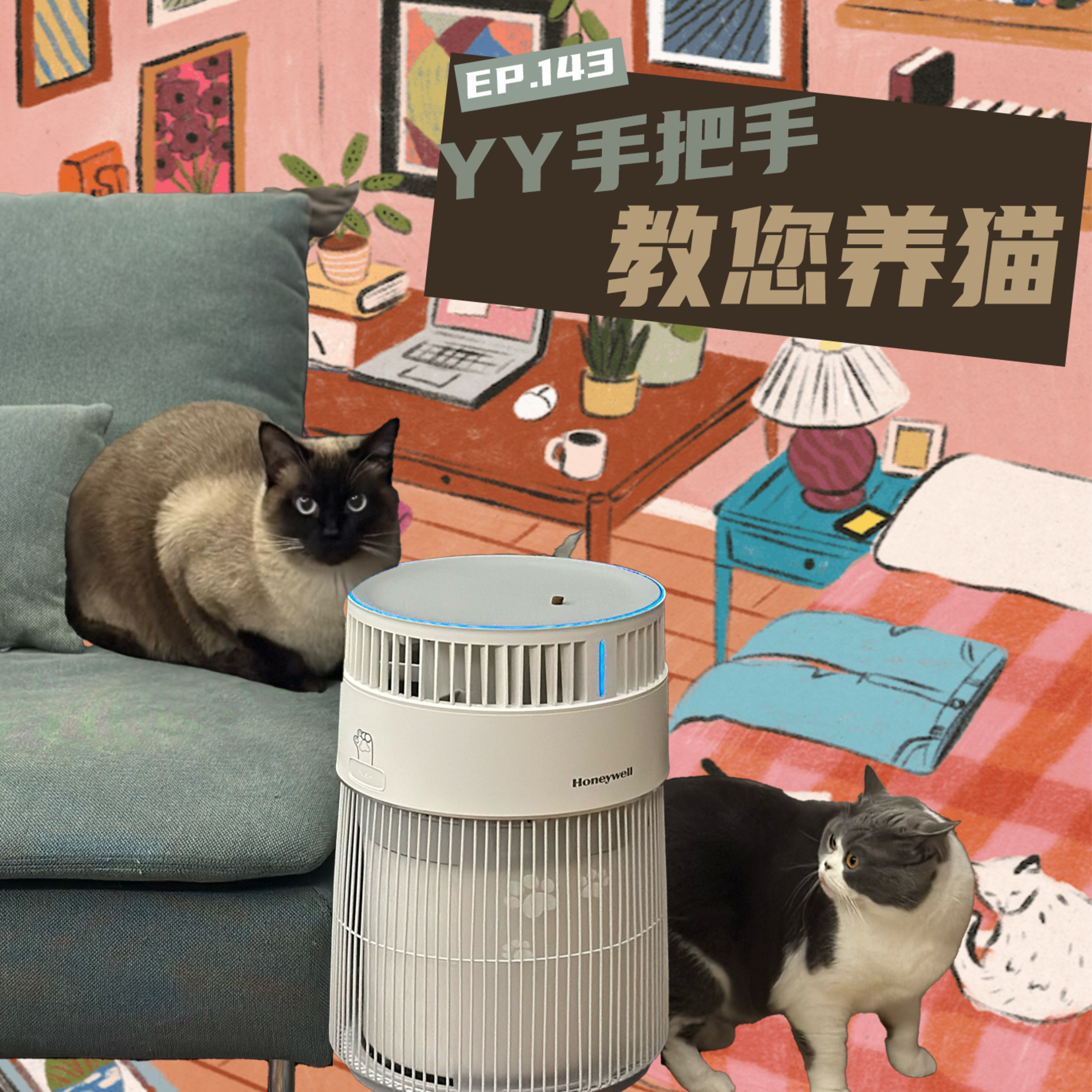 EP143 YY手把手教您养猫！ episode artwork