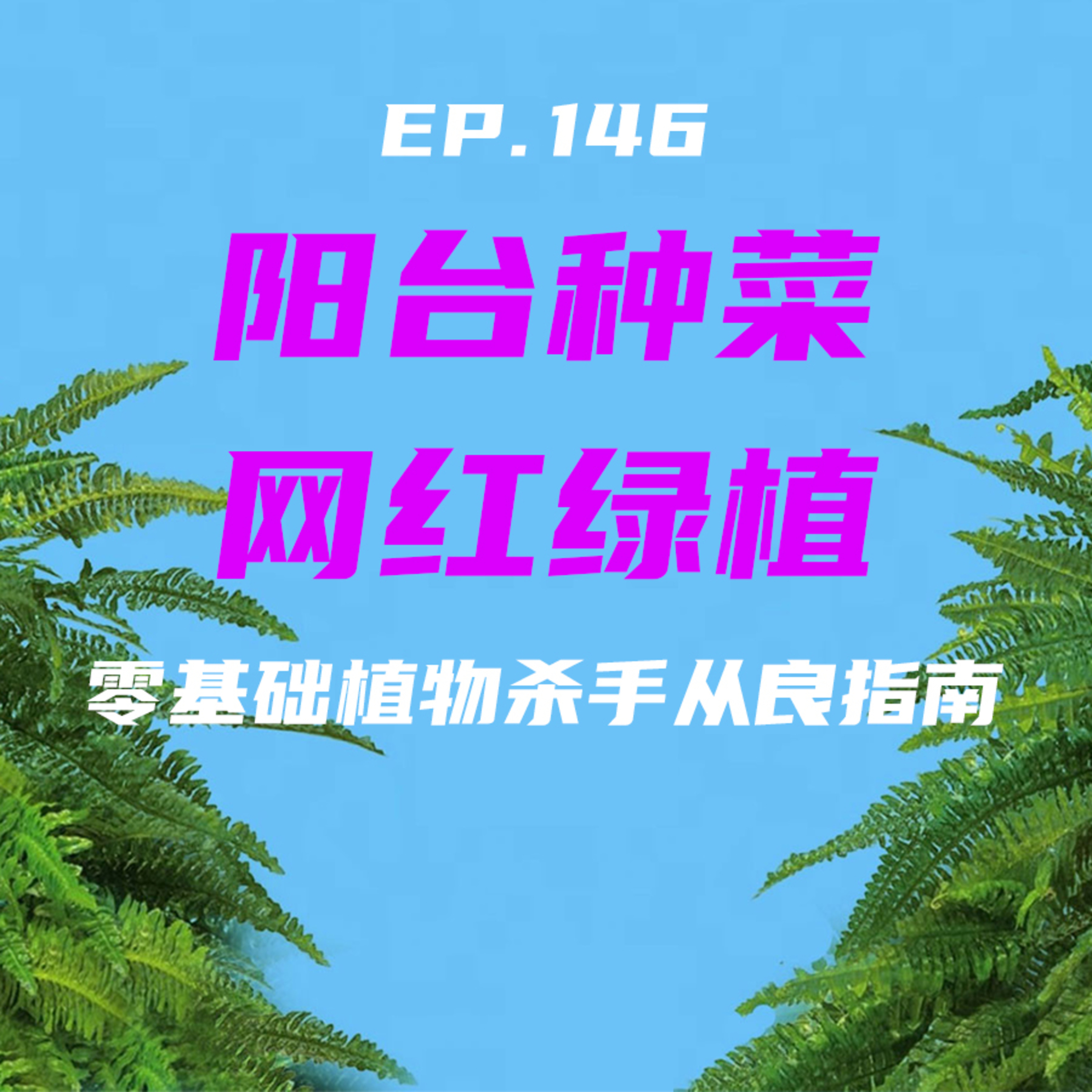 EP146 阳台种菜，网红绿植：零基础植物杀手从良指南 episode artwork