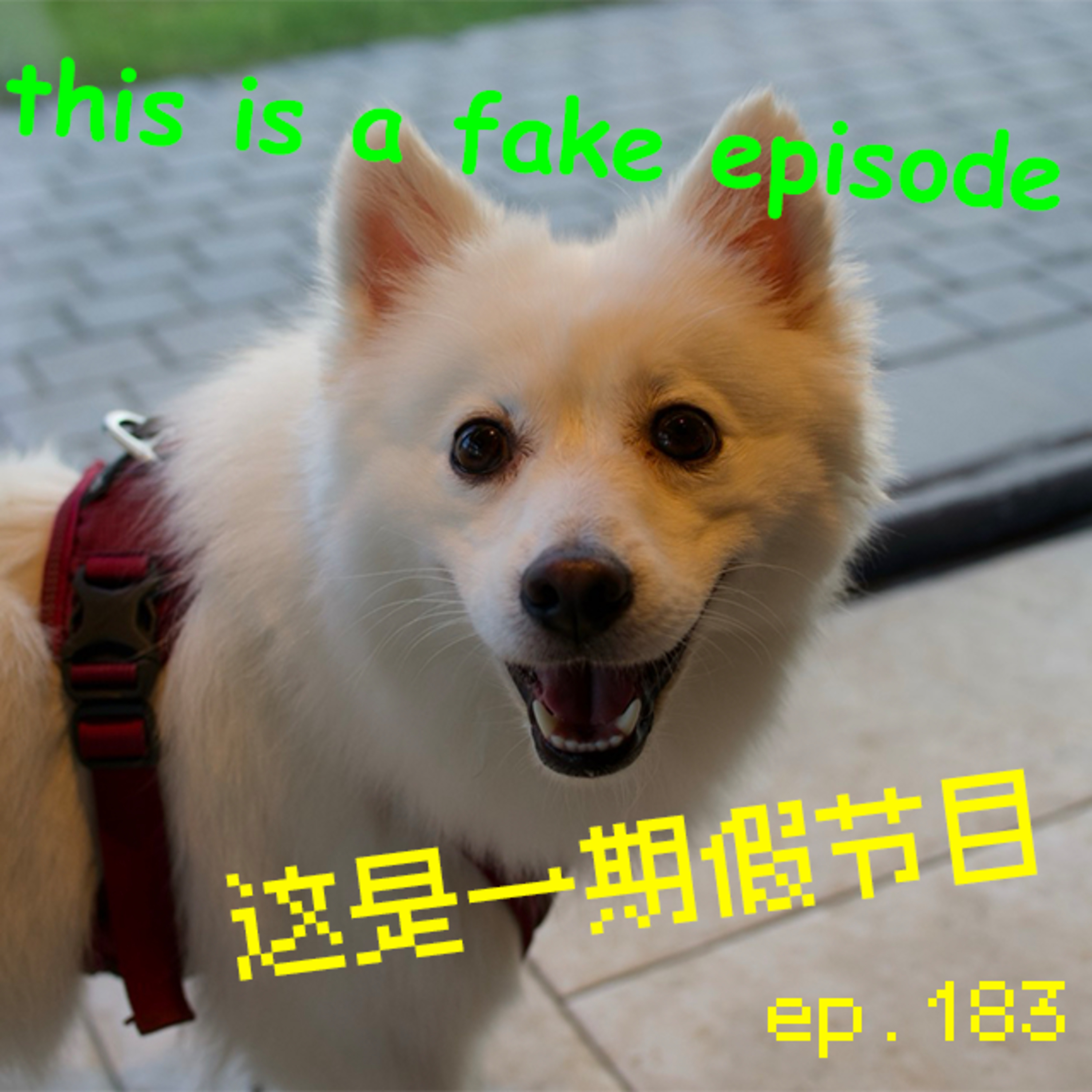 EP183 这是一期假节目 episode artwork