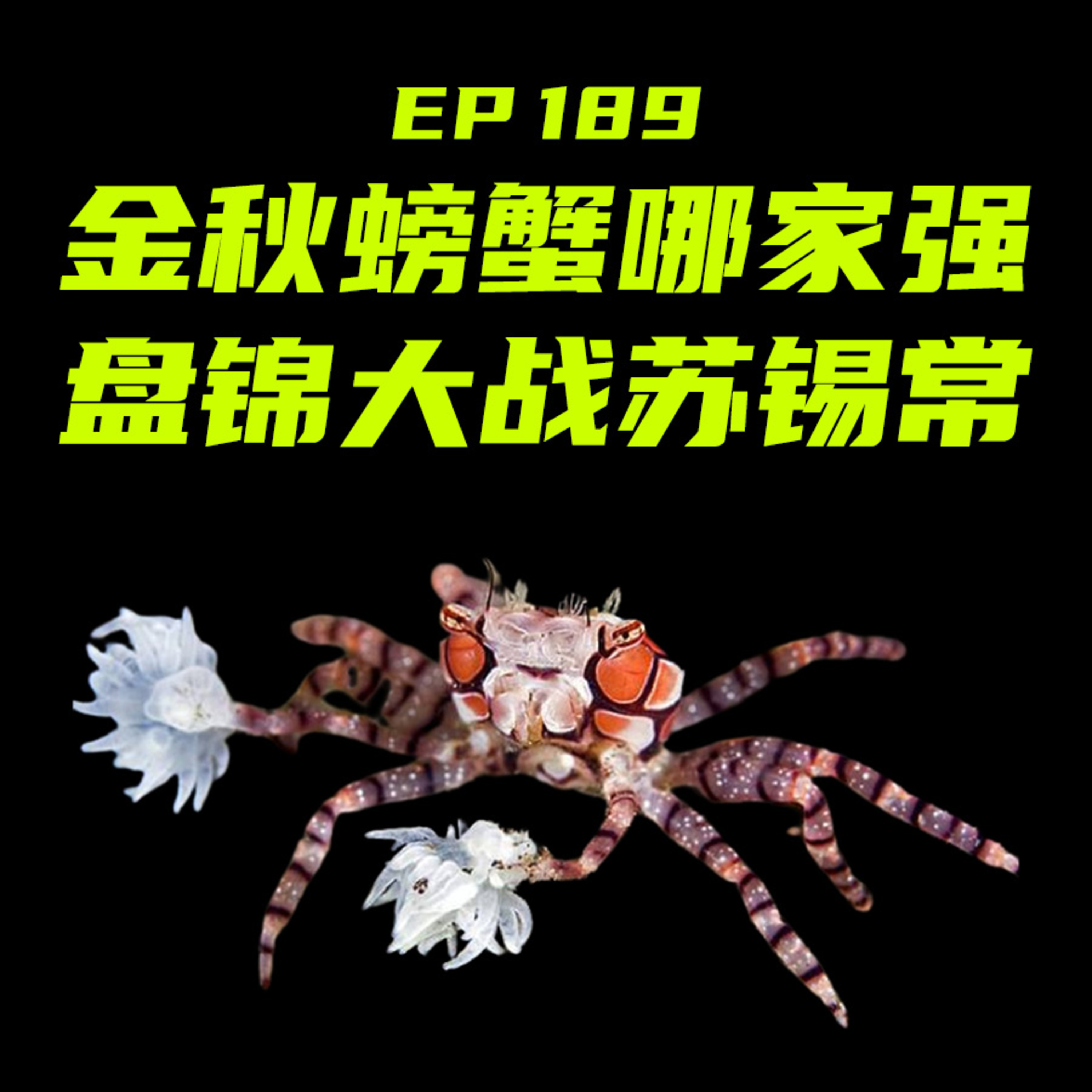 九月| 2017 | 3PM, image size:3000x3000