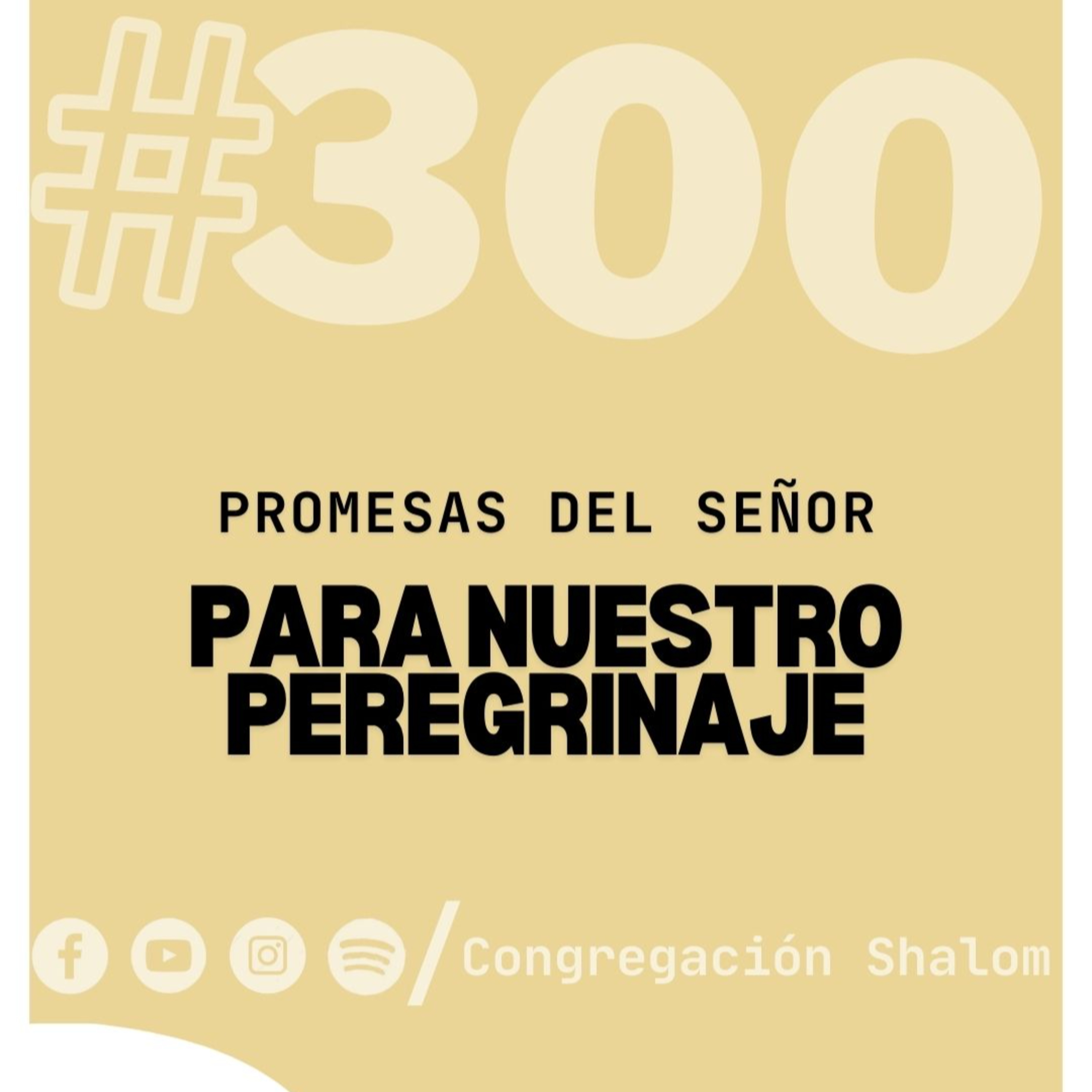 Congregación Shalom