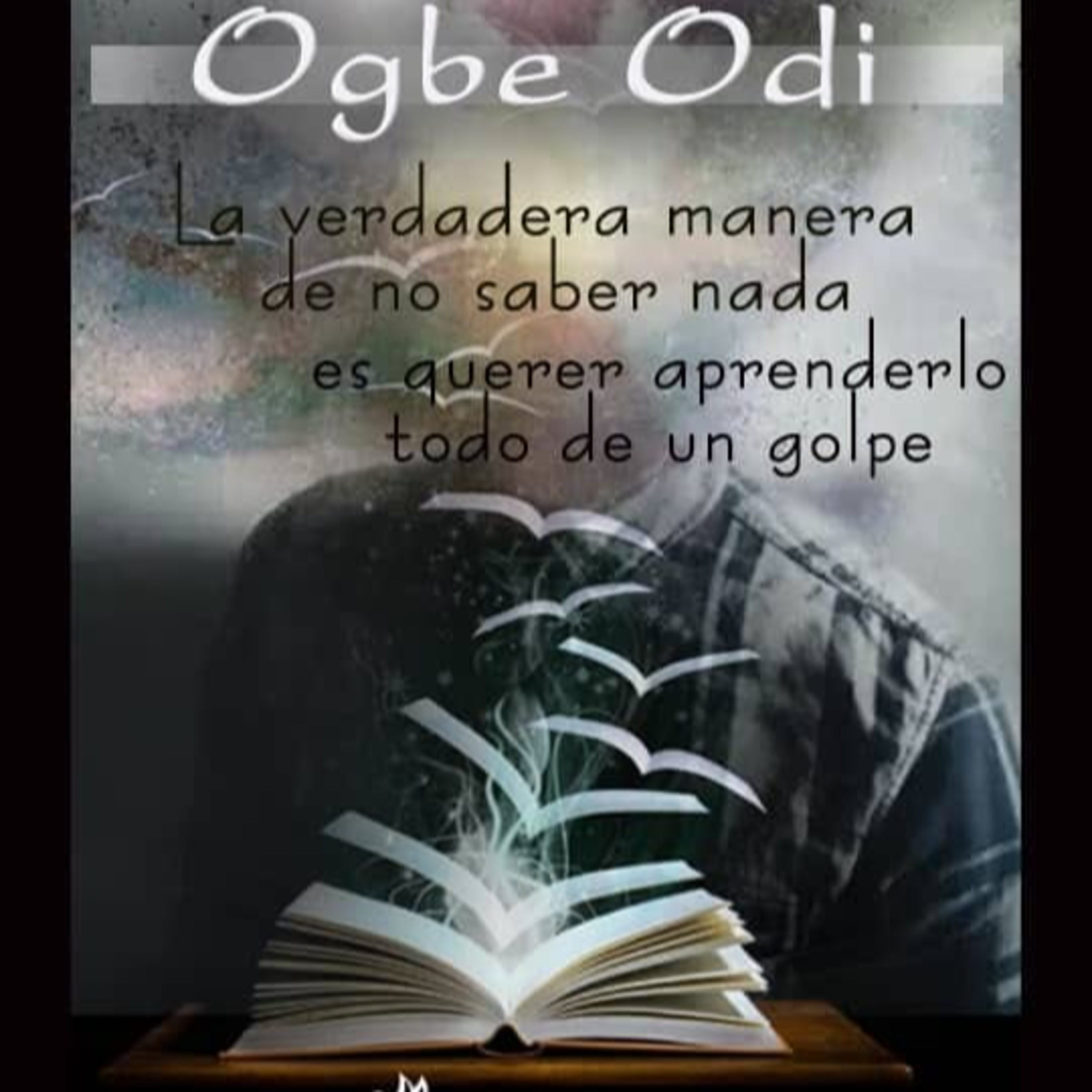 Ogbe Odi - La verdadera manera de no saber nada es querer aprenderlo todo de un golpe.
