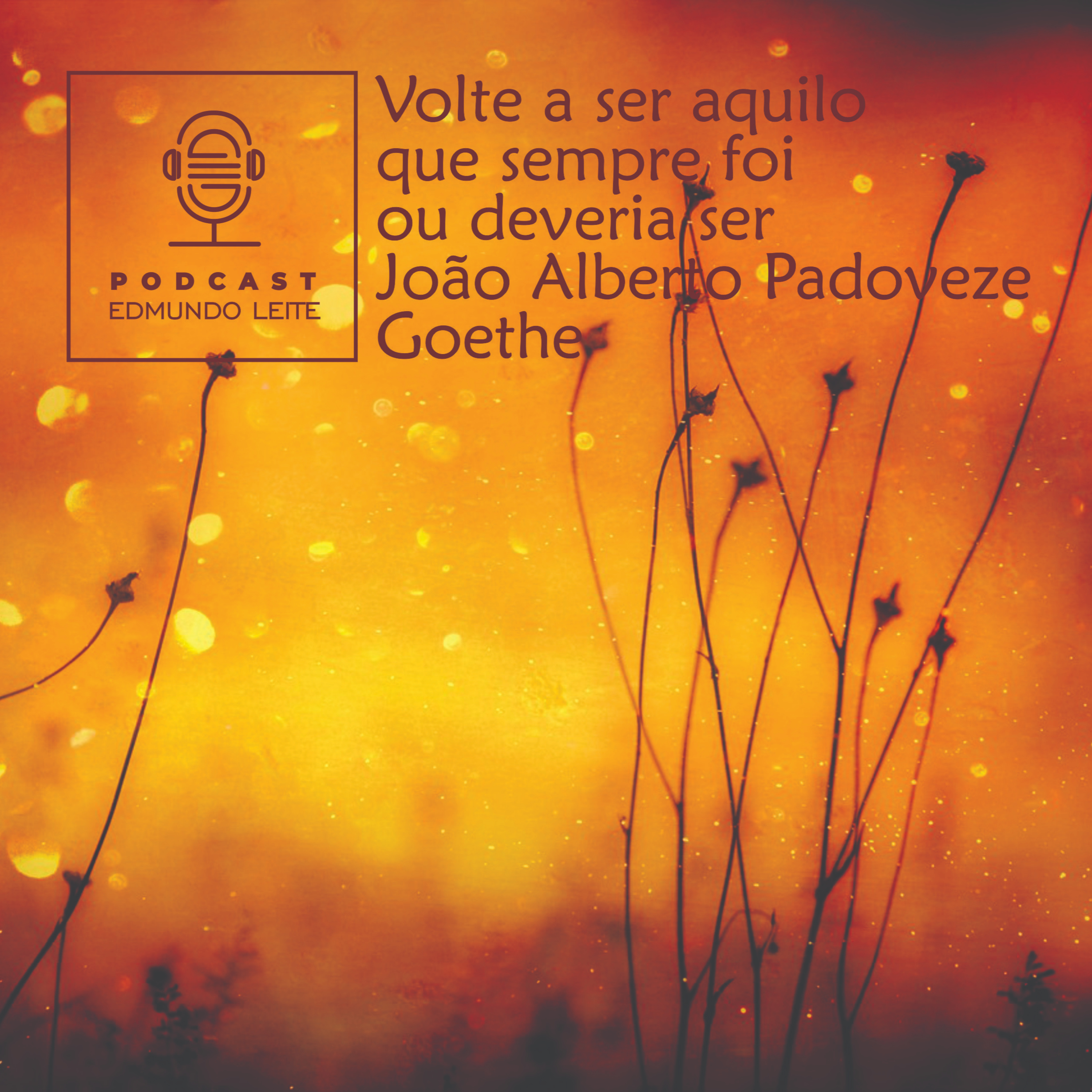 Volte a ser aquilo que sempre foi ou deveria ser (João Alberto Padoveze / Goethe) episode artwork