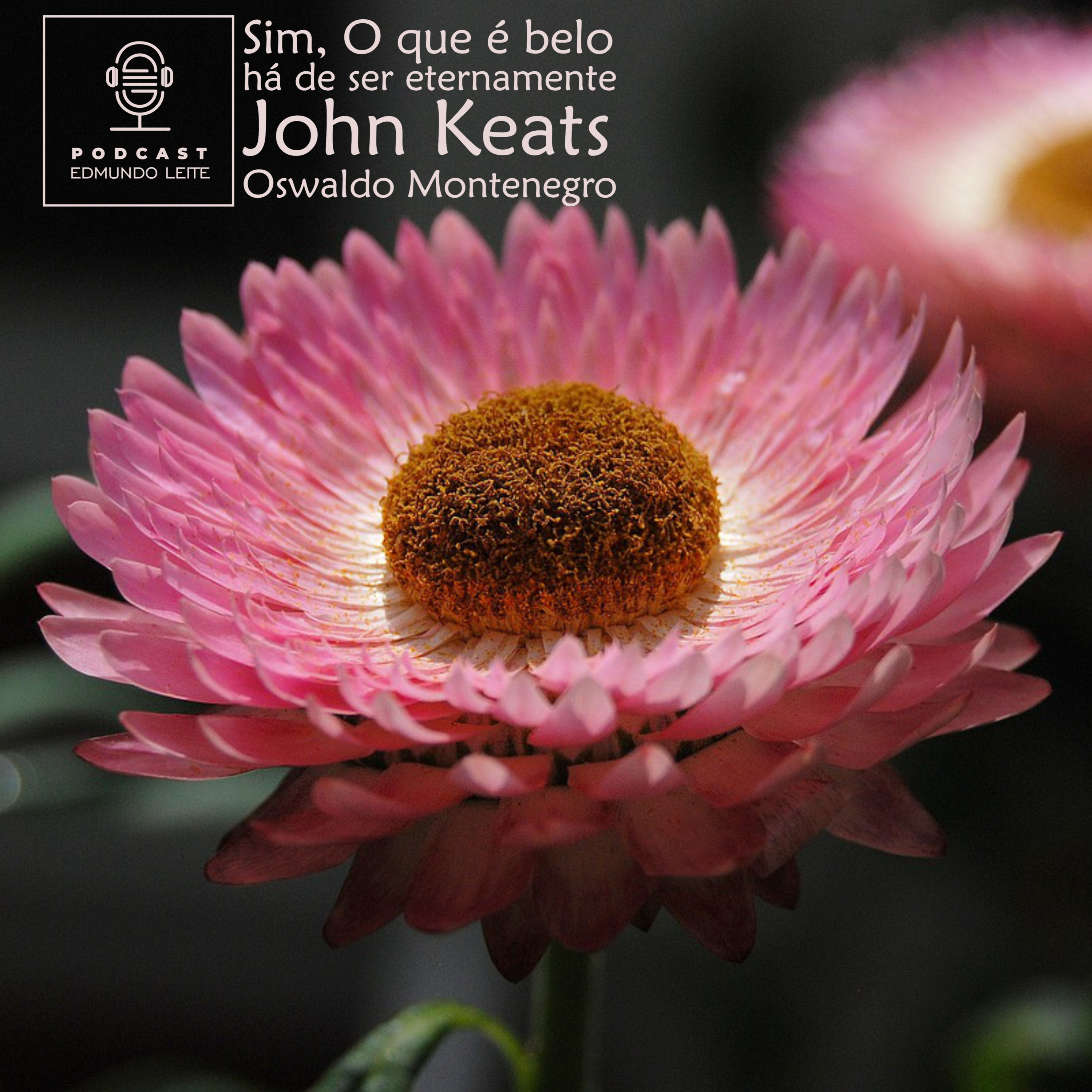 Sim, O que é belo há de ser eternamente (John Keats/Oswaldo Montenegro) episode artwork
