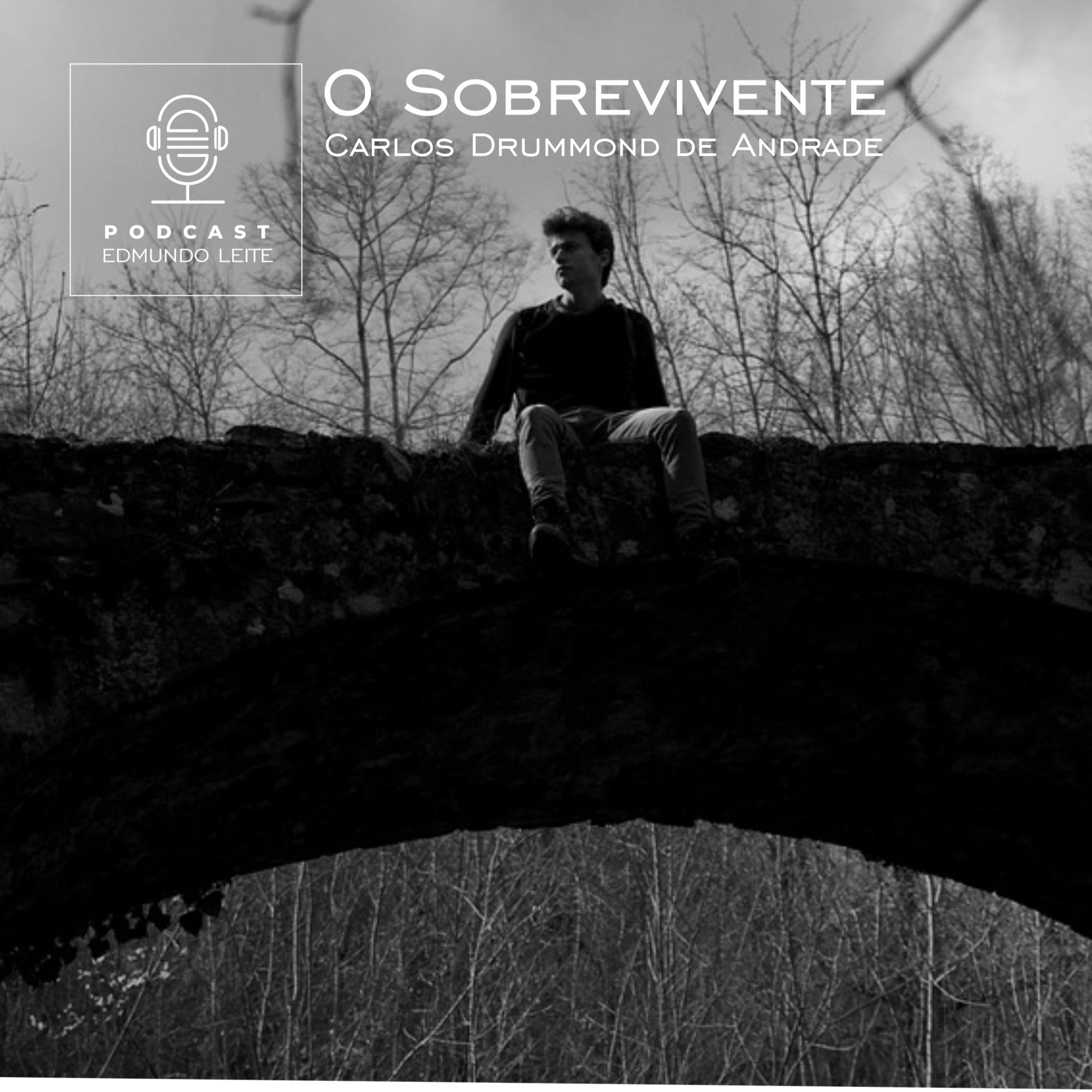 O Sobrevivente (Carlos Drummond de Andrade) episode artwork