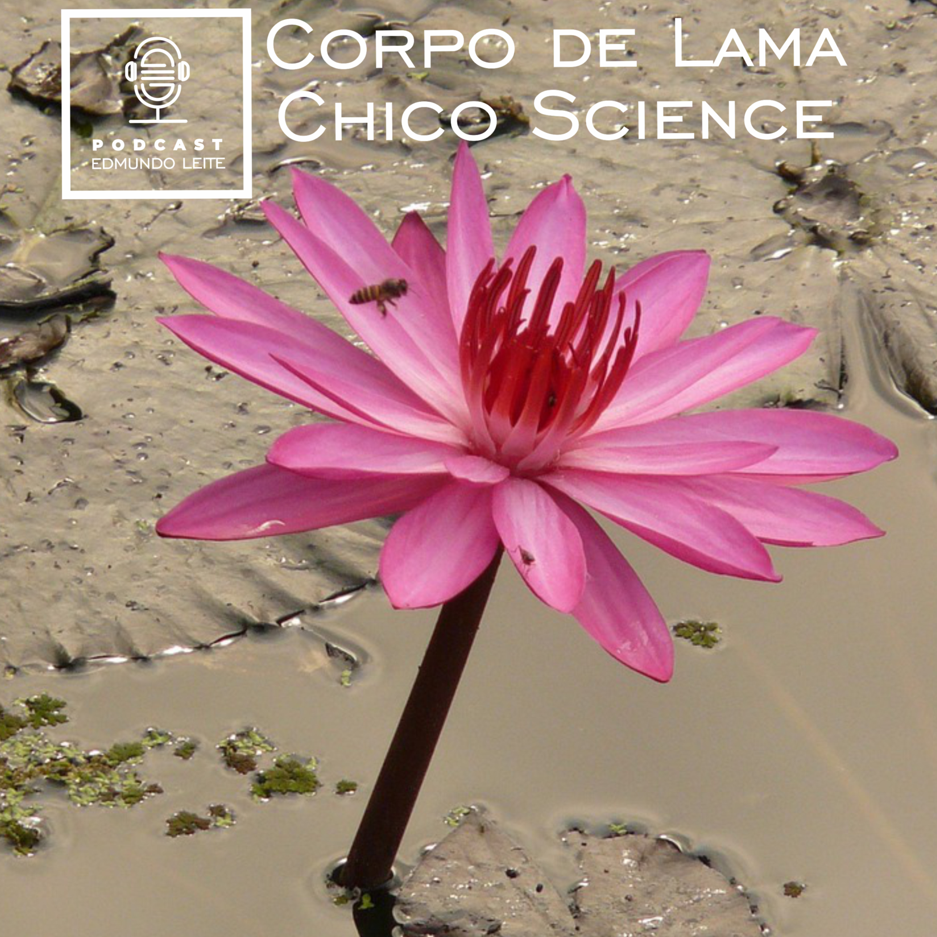 Corpo de Lama (Chico Science)