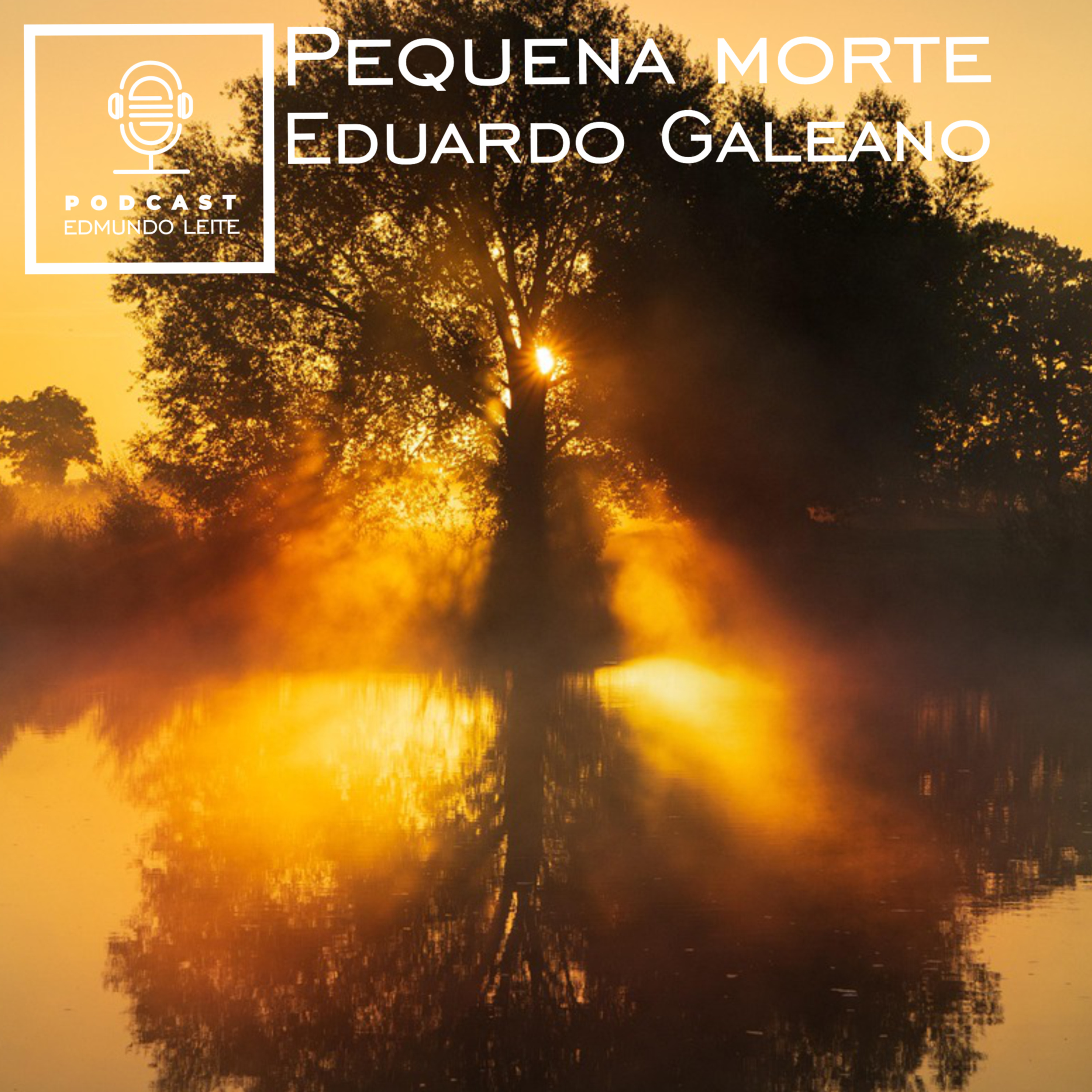Pequena morte (Eduardo Galeano) episode artwork