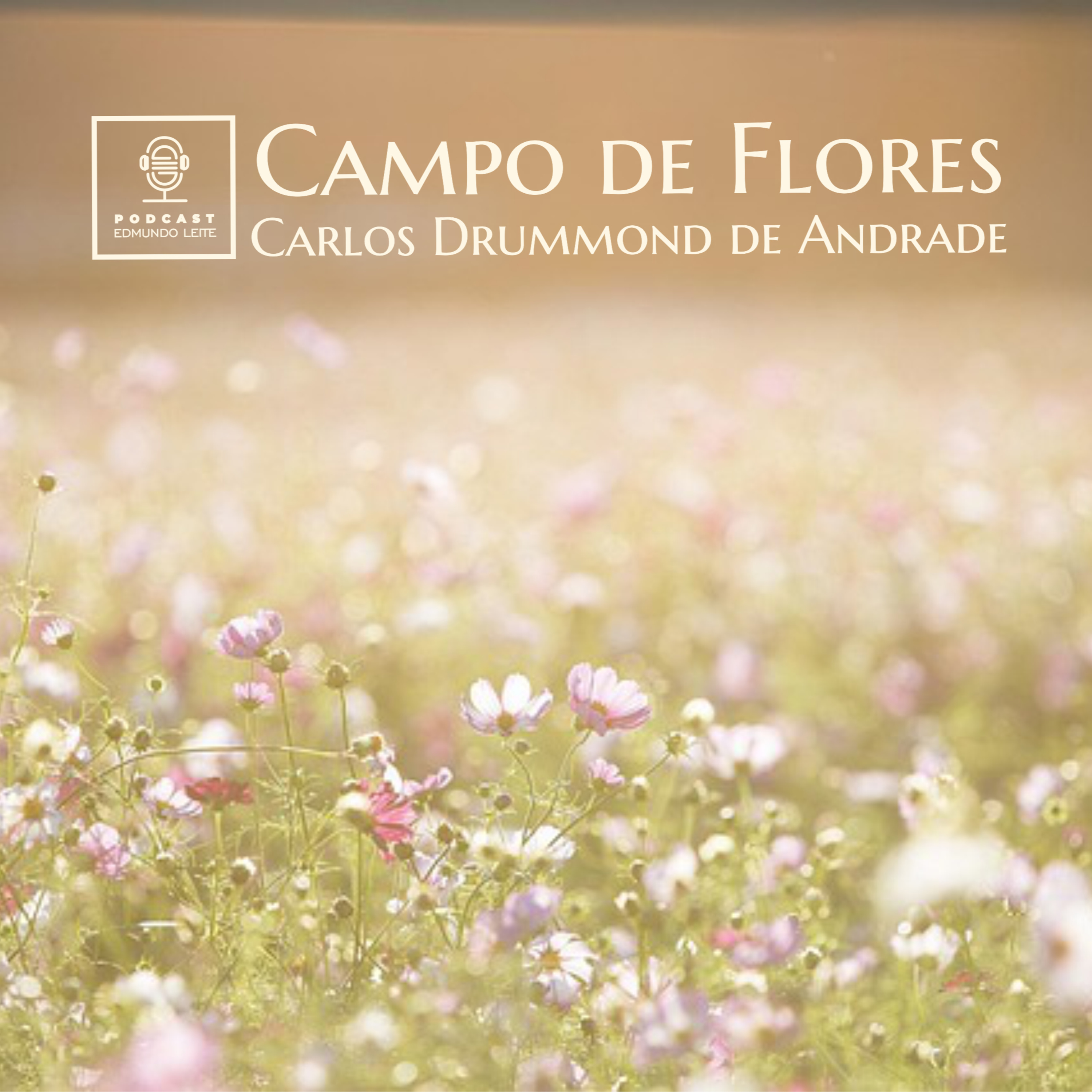 Campo de Flores (Carlos Drummond de Andrade) episode artwork